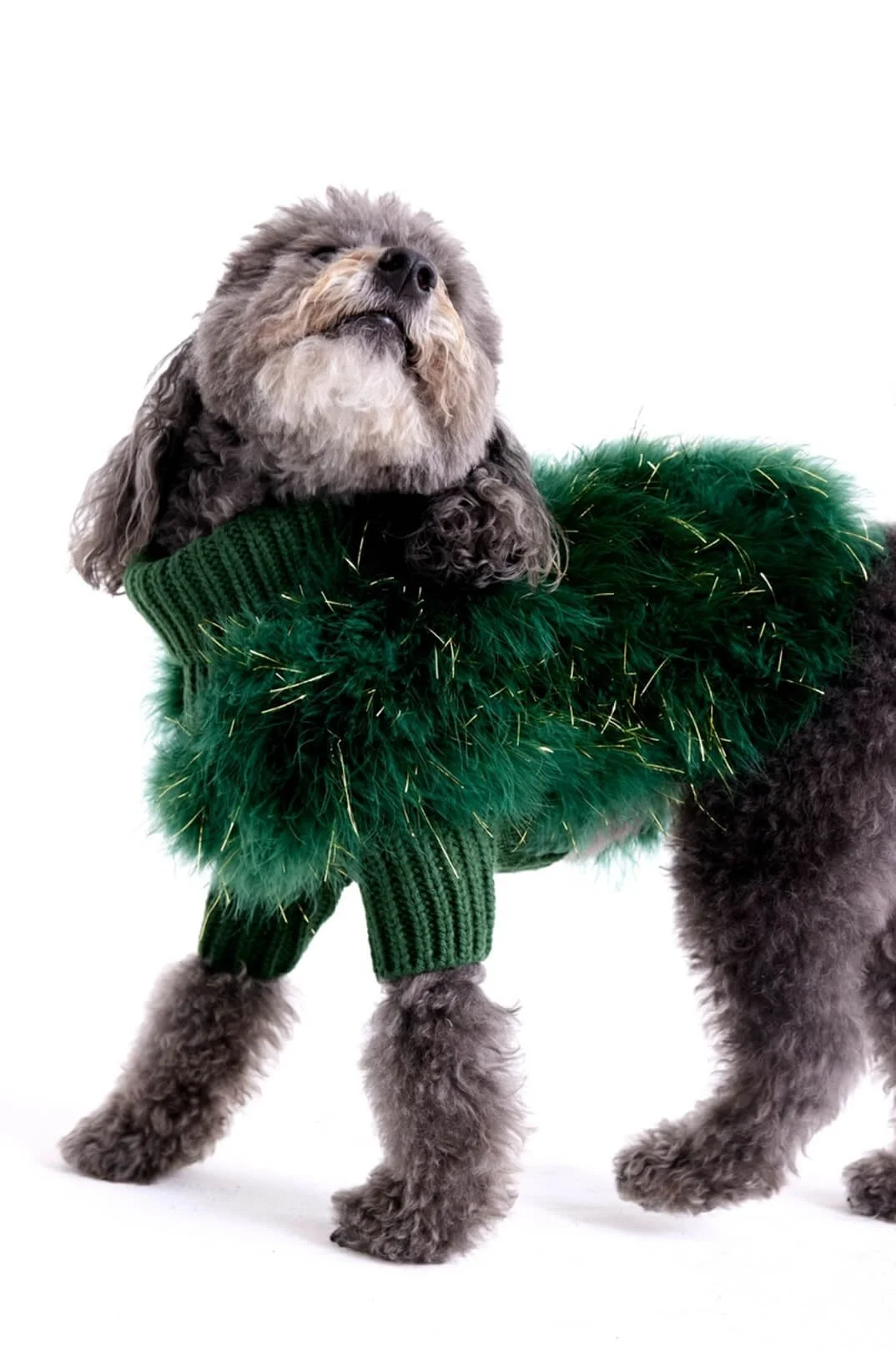 Christian Cowan Holiday Glitz by maxbone