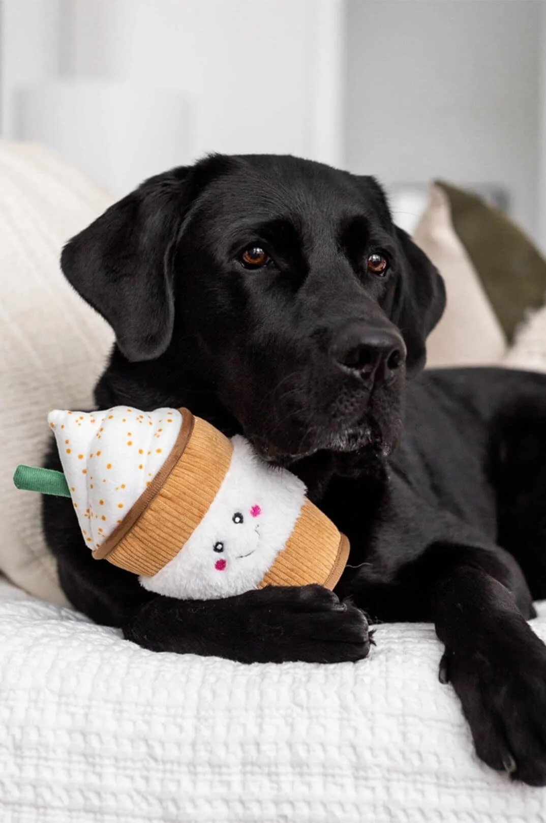 Puppuccino Plush Dog Toy-_lunadelmar