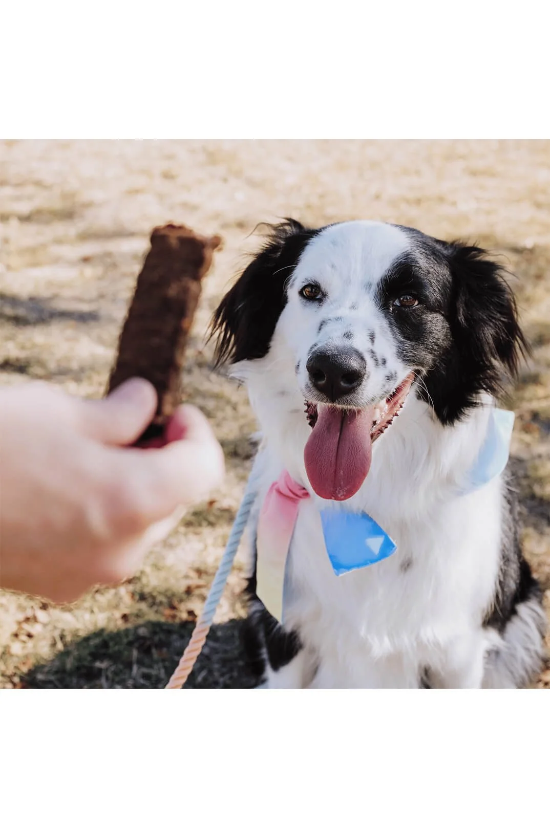 Lunadelmar_beef jerky by bundle x joy
