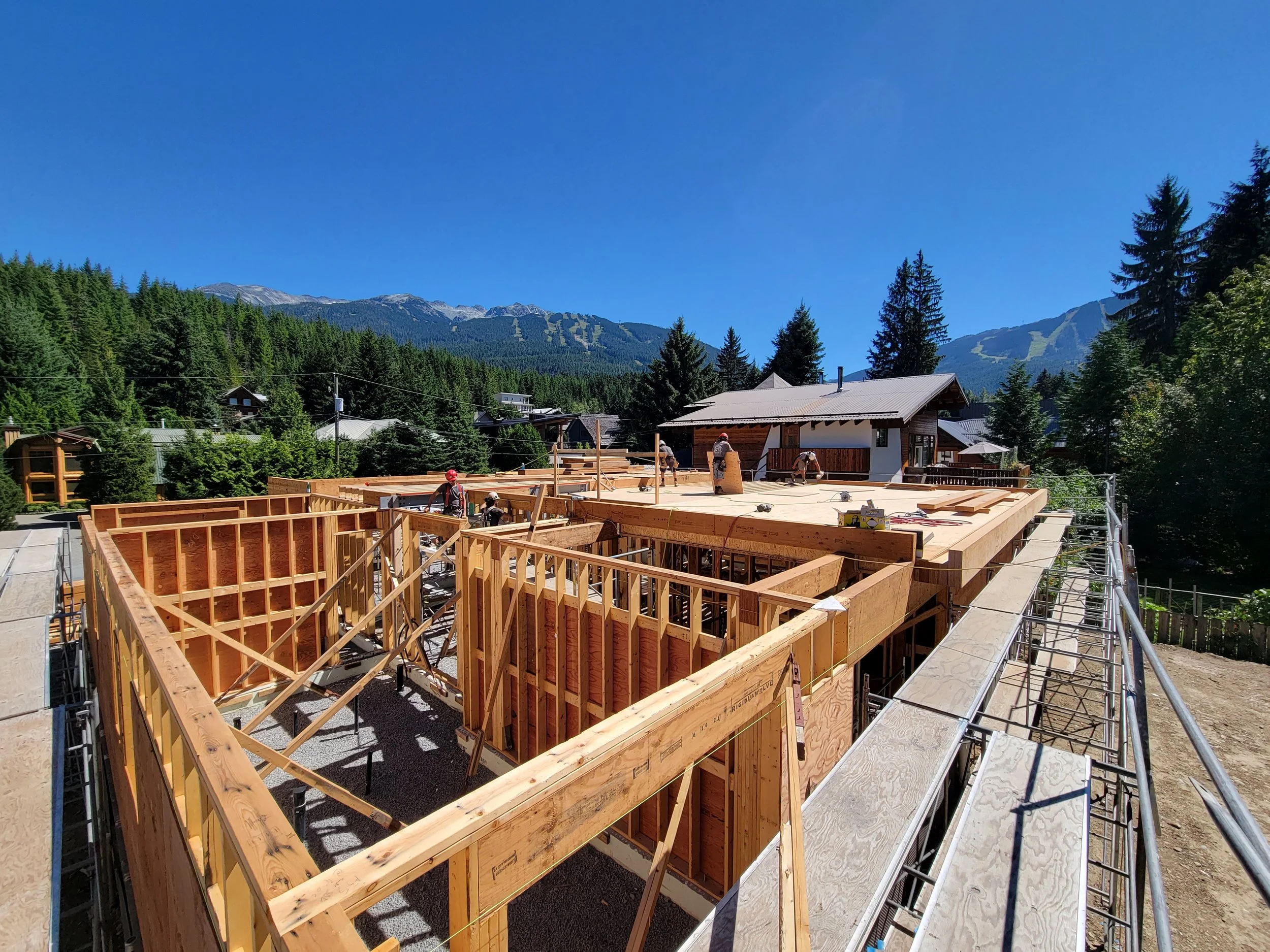 20210811_141933 (1).jpg