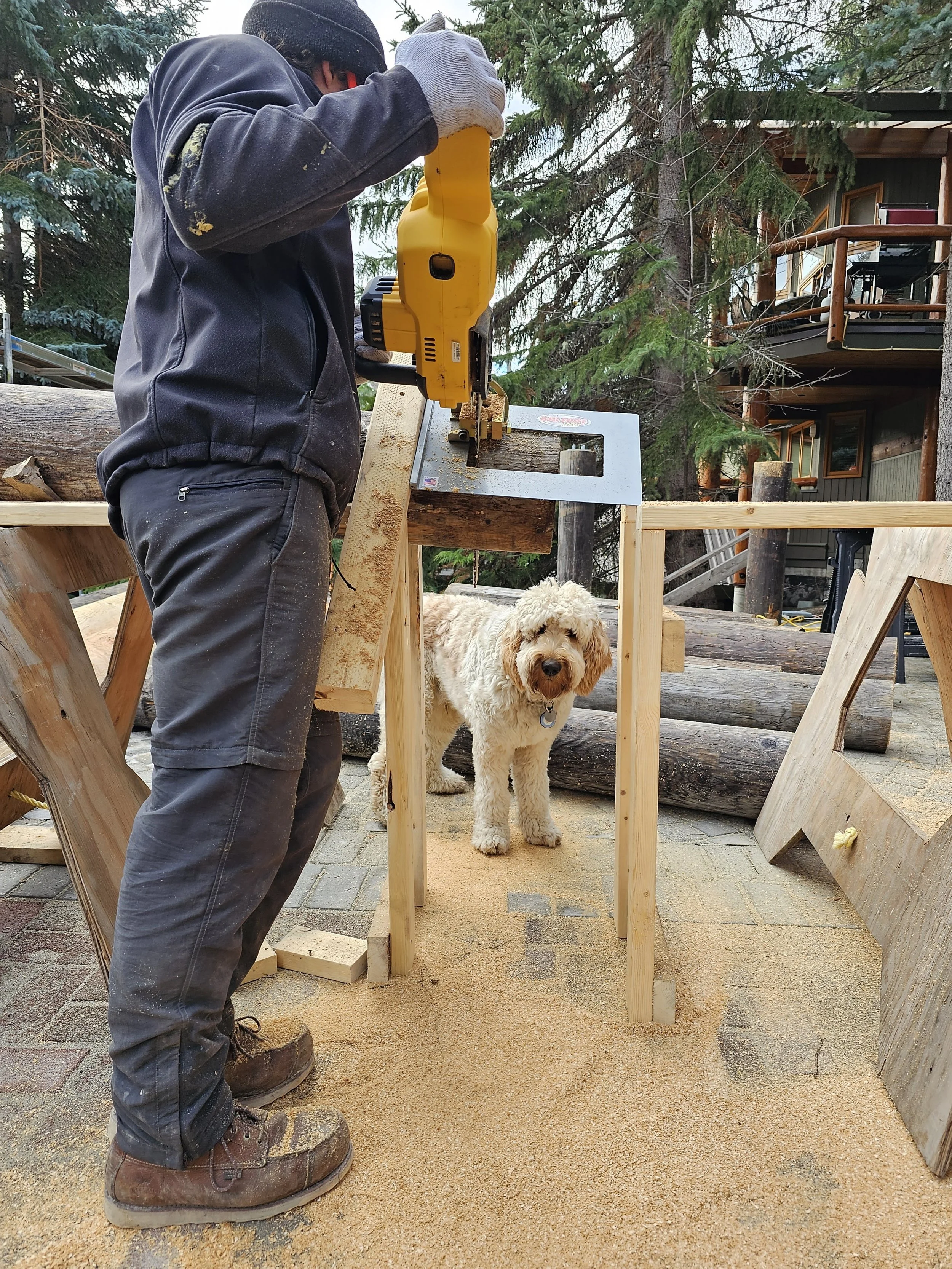 golden spruce builder working whistler 5