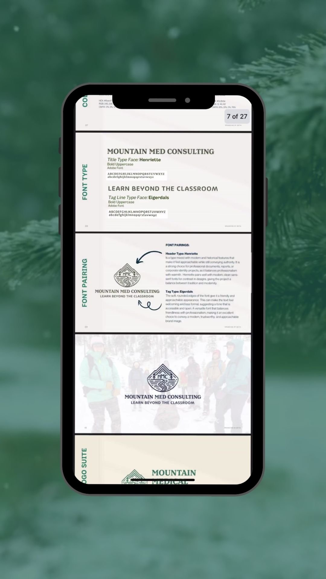 Mountian Med Consulting_Brand and Website9.jpg