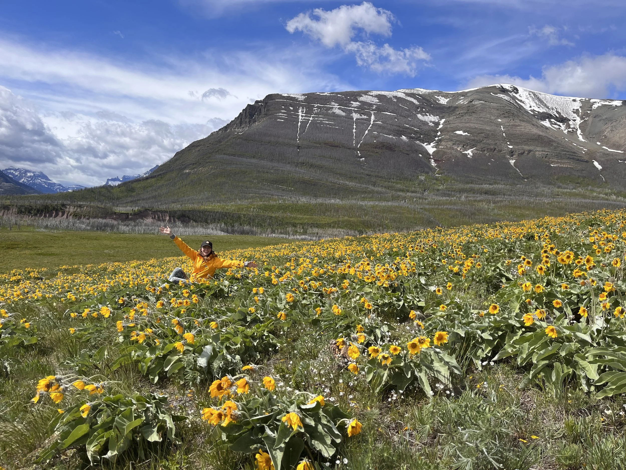 Person in a yellow jacket sitting in a field of yellow wildflowers with mountains in the background, under a blue sky.