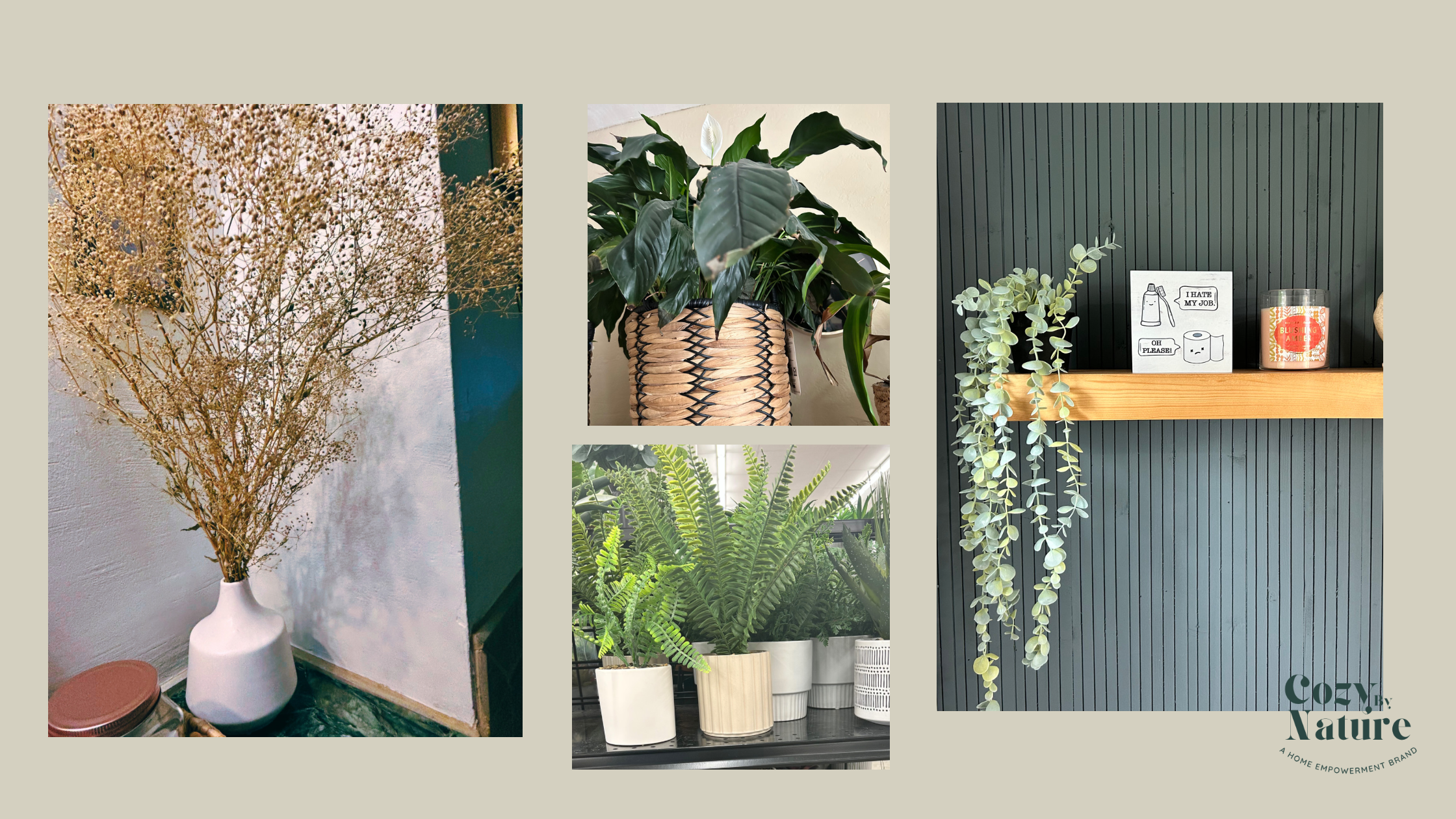Authentic or Artificial: Plants
