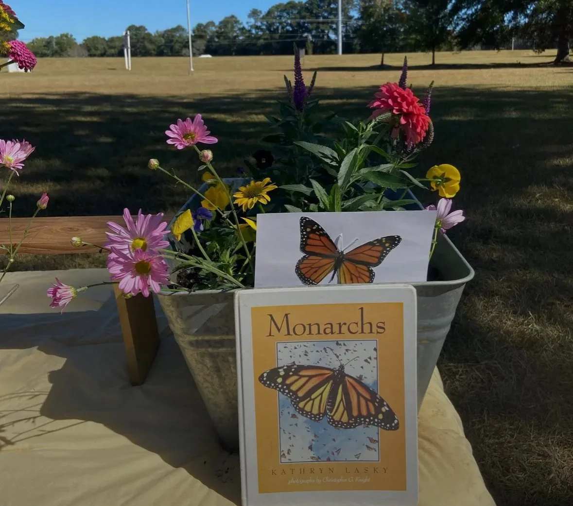 Pollinators & Goat Milk Soap at Junie B. Farm
