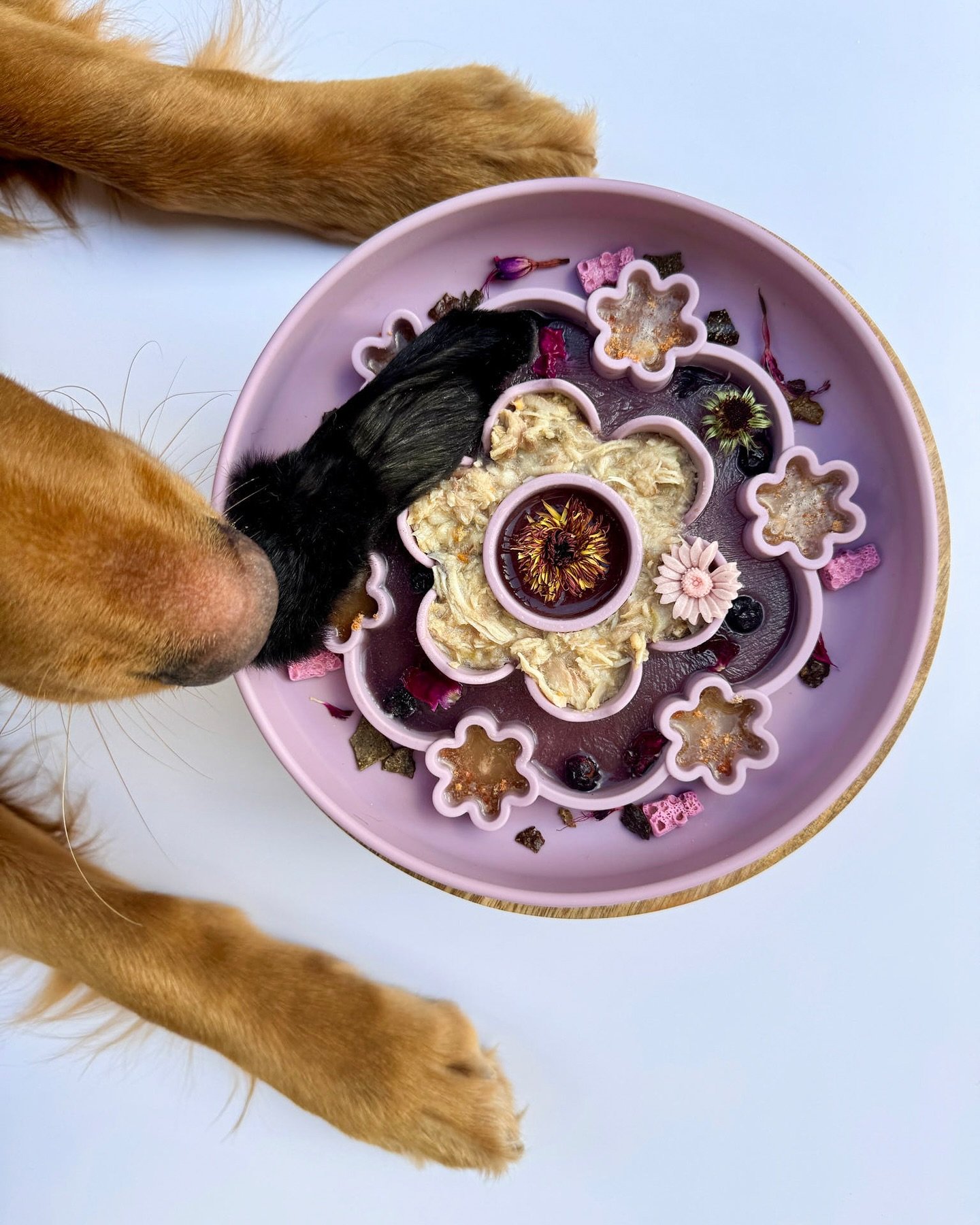 the rest of the enrichment restock should be here any day now!! 🌸

date &amp; time is to be announced! please note that some items that will no longer be carried this year after this restock, including:

&bull; petal platter bowl
&bull; blossom bowl