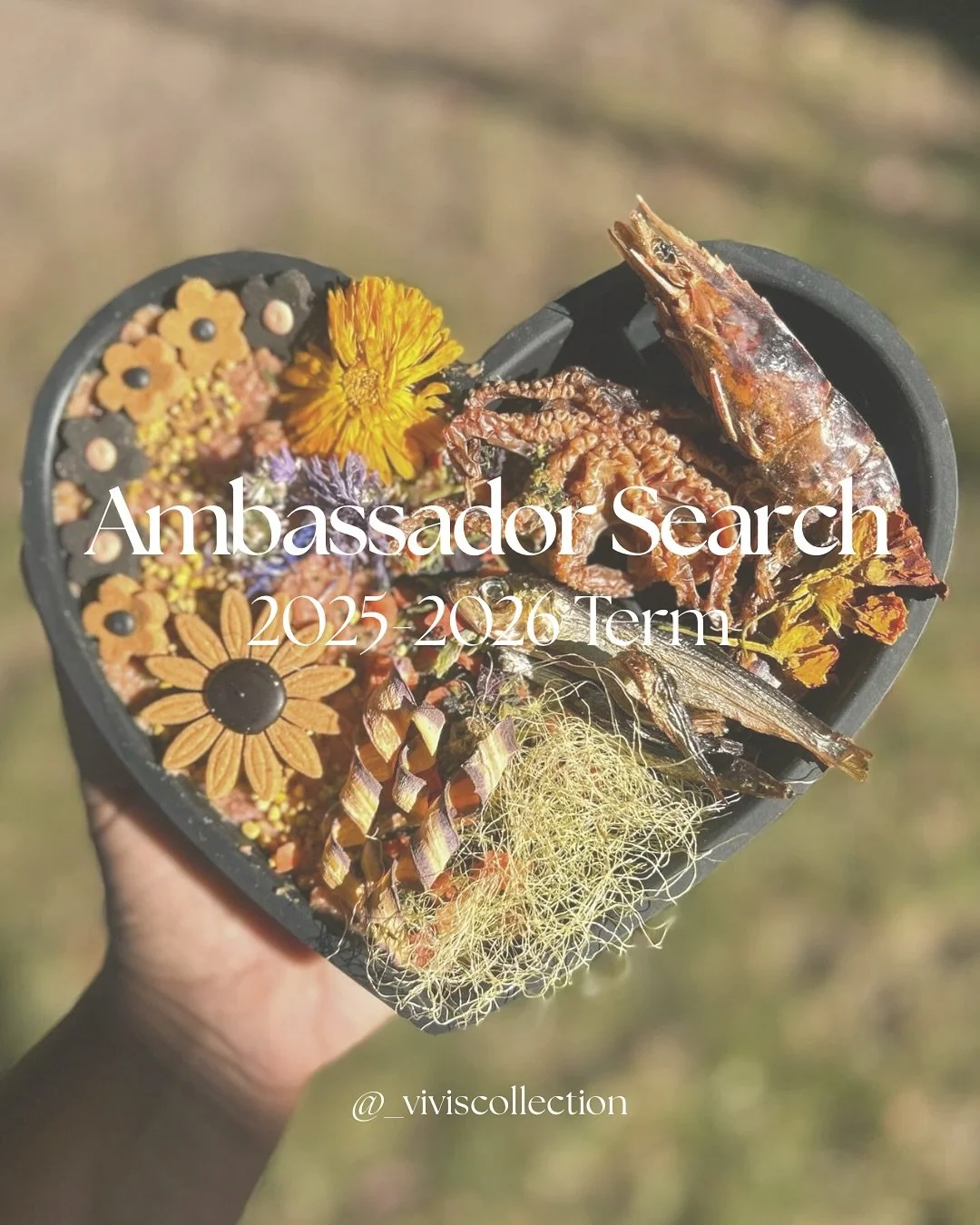 join the vivi&rsquo;s ambassador team! 🩵

helllo!! I am very excited to be opening up our second search of the year! I am looking for high quality accounts that genuinely have a love for my brand. please see the pictures &amp; description for more d