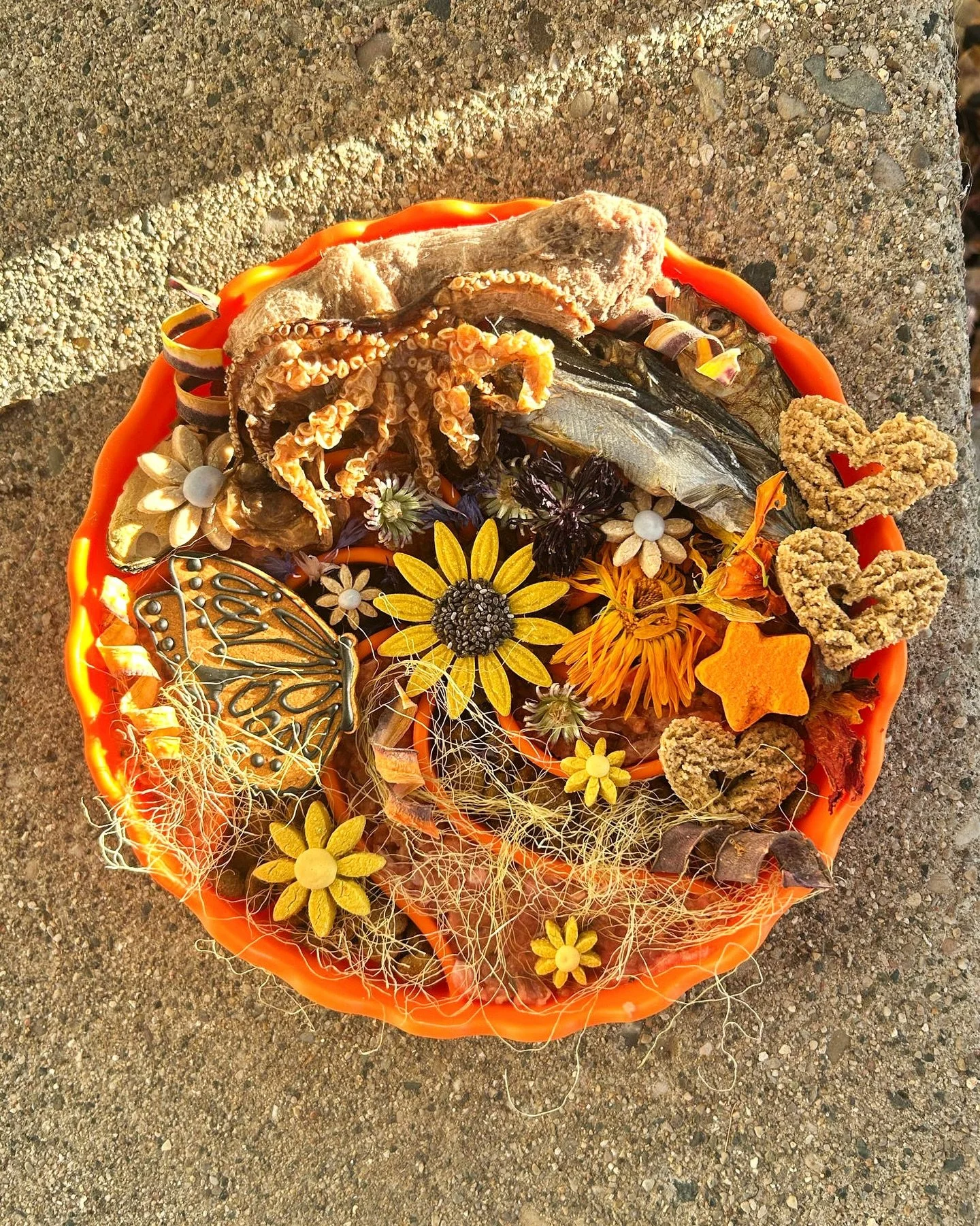 the last day to order enrichment related items for delivery halloween will be this friday! 🧡✨
&bull;
our classic black heart bowl is now on sale too! please note our website will be locked this weekend for back to back events, thank you!
&bull;
show