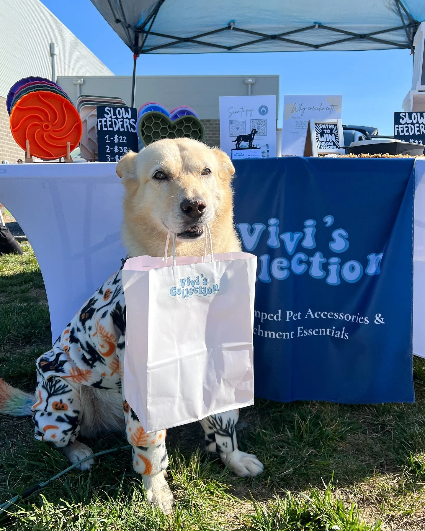 we had the cutest visitor two days in a row 🥰✨
&bull;
been busy this weekend with local events! come on out today to @sonderbrewing till 3pm for cause 4 paws! website will be back unlocked later tonight! 
&bull;
#viviscollection #shopsmall #smallbui