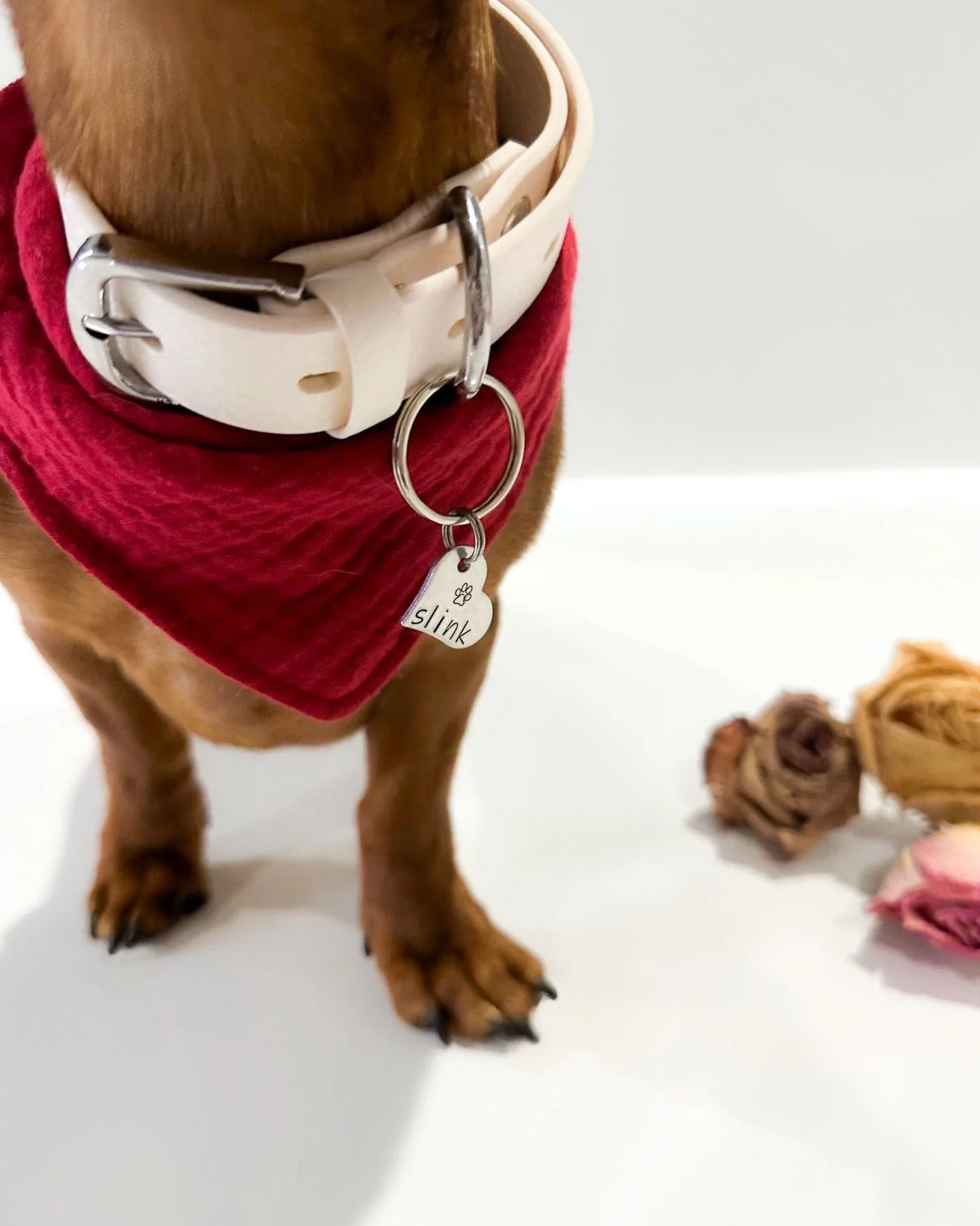 order-by reminders! 💌

hand-stamped &rarr; tomorrow!
enrichment &rarr; 2/9

can&rsquo;t wait to send happy mail your way &amp; help you spoil your own valentine 💘 as always, save 10% with an ambassador code &amp; checkout our sale section!