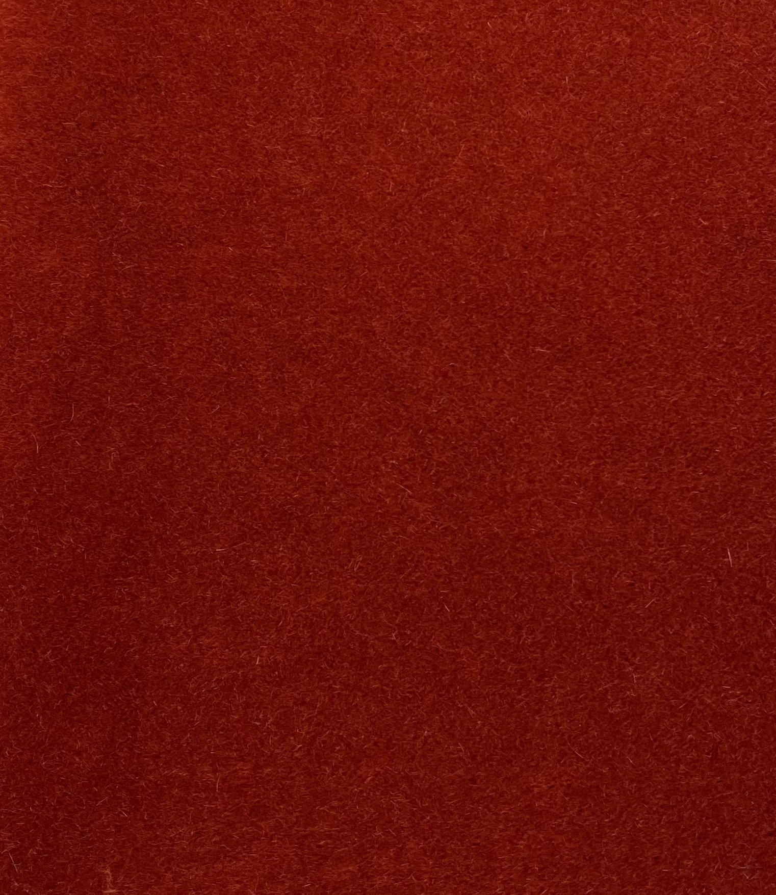 89341827-A49C-4F02-9174-26F1D030503B.jpeg