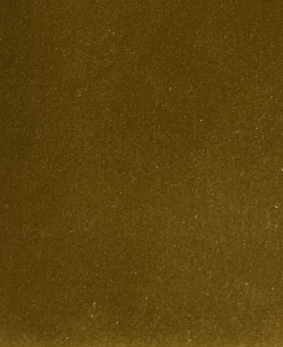 A760B958-E0AB-4C20-A559-EADD2E1E7E12.jpeg