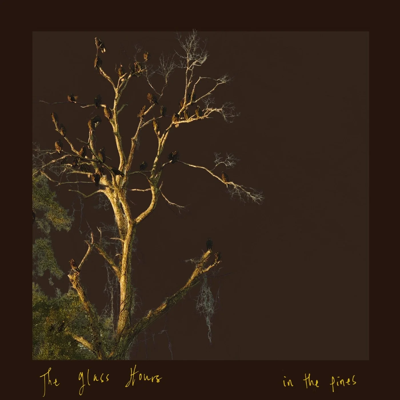 In the Pines is out today, featuring @dialbacksound on bass and @lucia.drums on drums. Recorded and mixed by @almathecat at Dial Back Sound. Mastered by @focusmastering &hearts;️&hearts;️&hearts;️