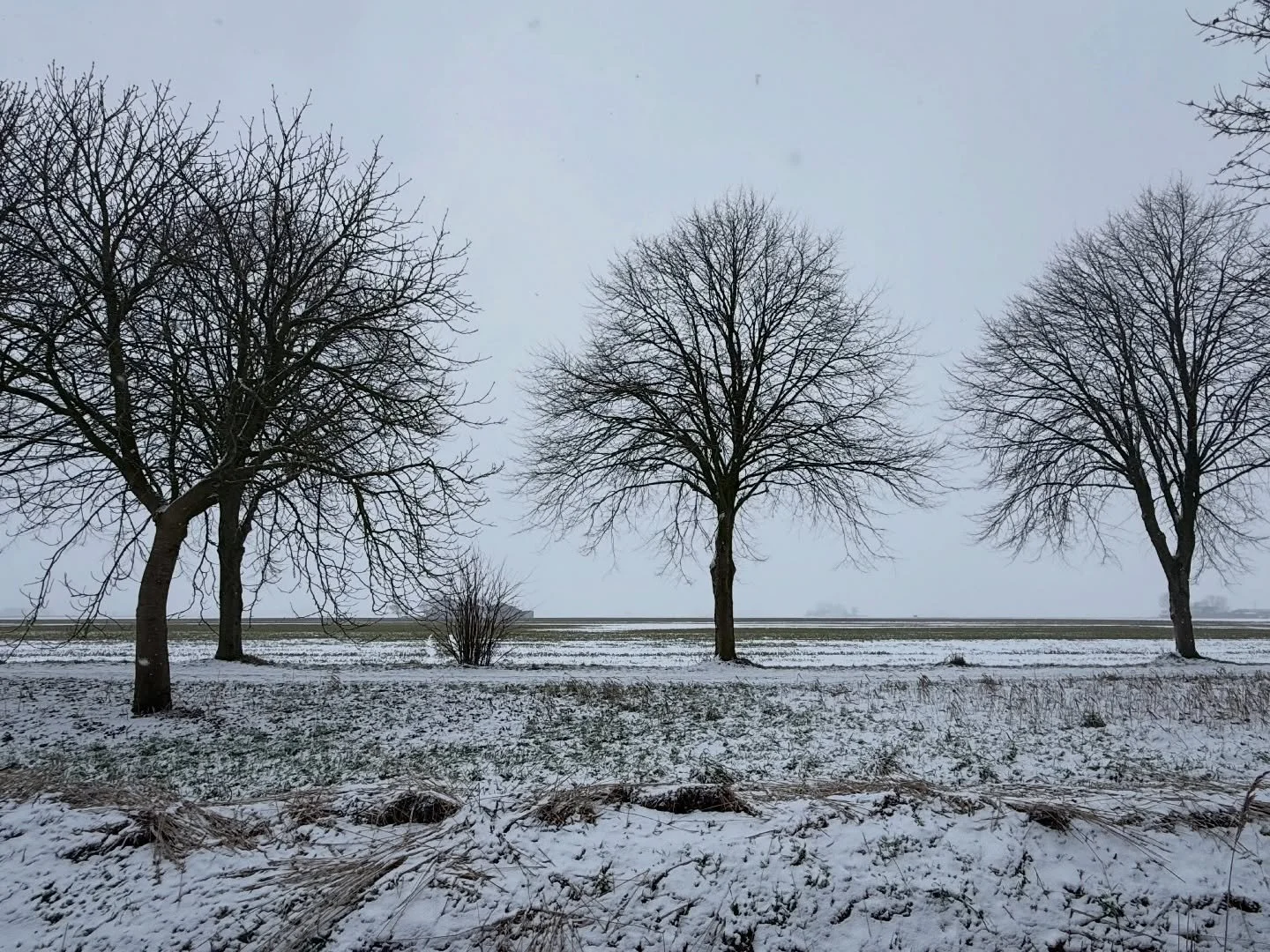 Winter's stronghold spans the continents. &hearts;️