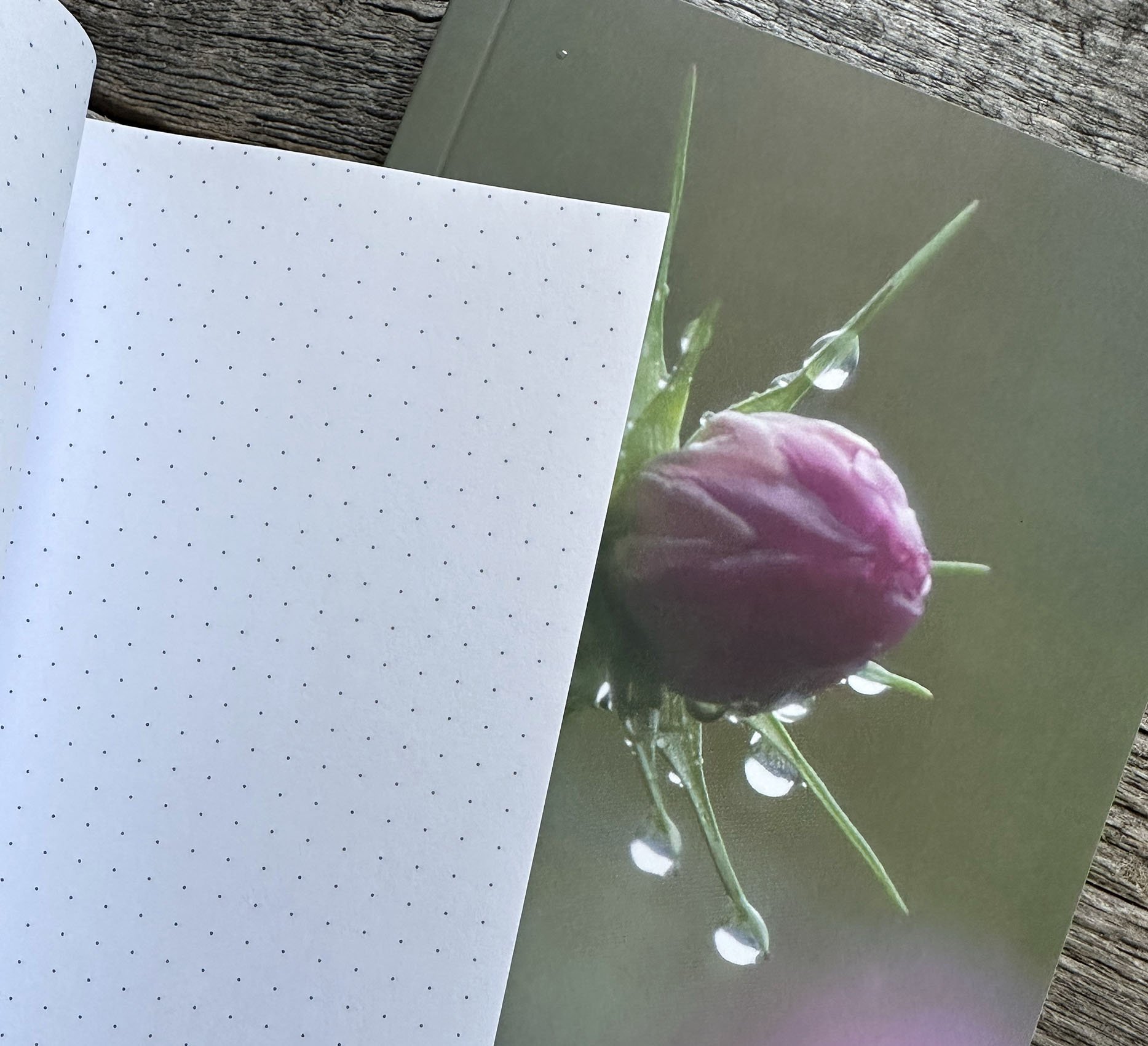 Journal Rose Bud Dot Grid Page.jpg