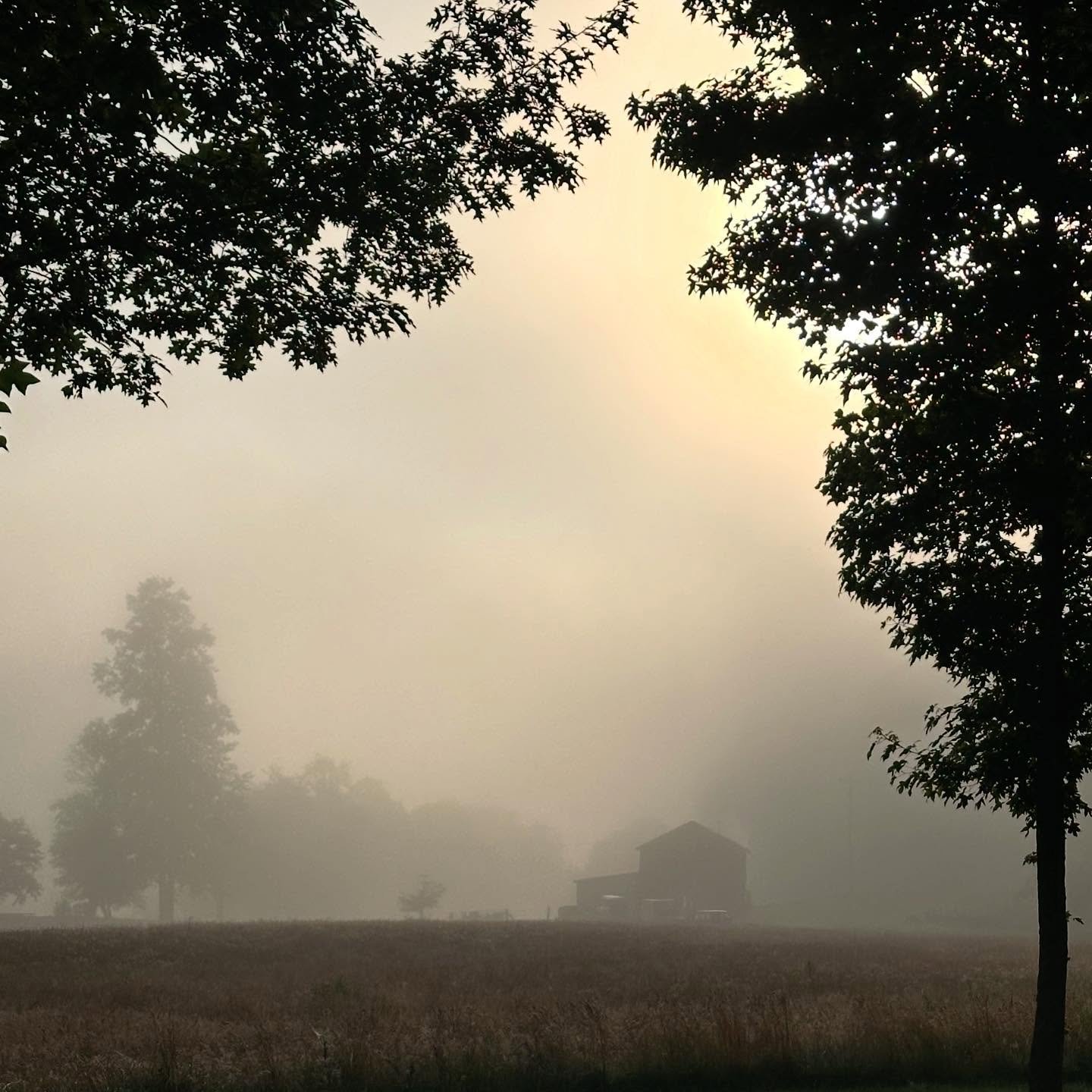 Morning

When we keep walking a life of faith because all things are not made clear but with Jesus all things are beautiful.

#chopecapturedinthemorning