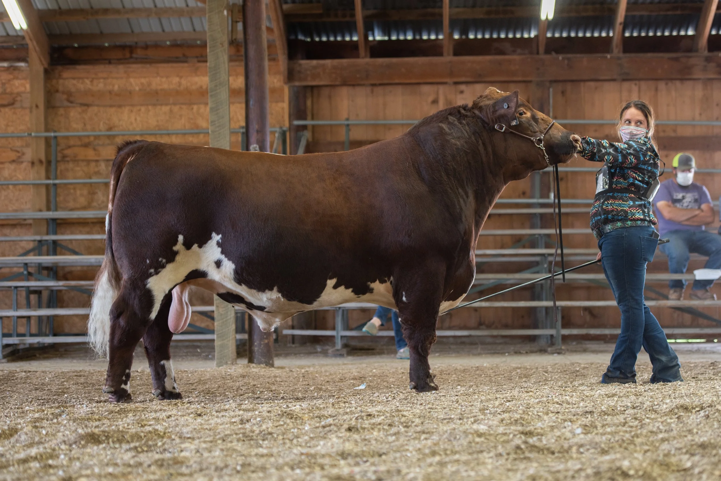 0720_WSAStateShow_RingShots-282.jpg