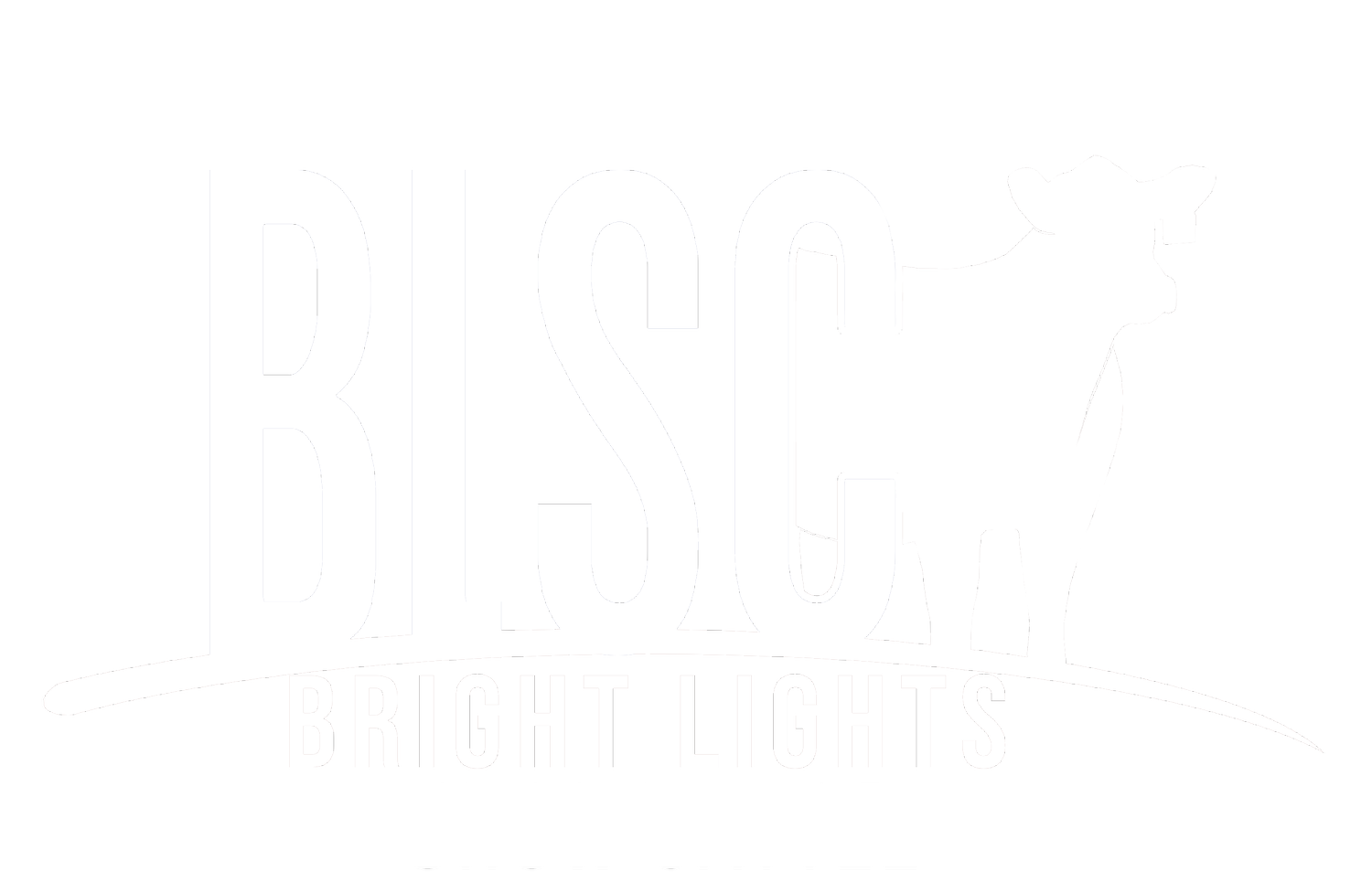 Bright Lights Show Cattle