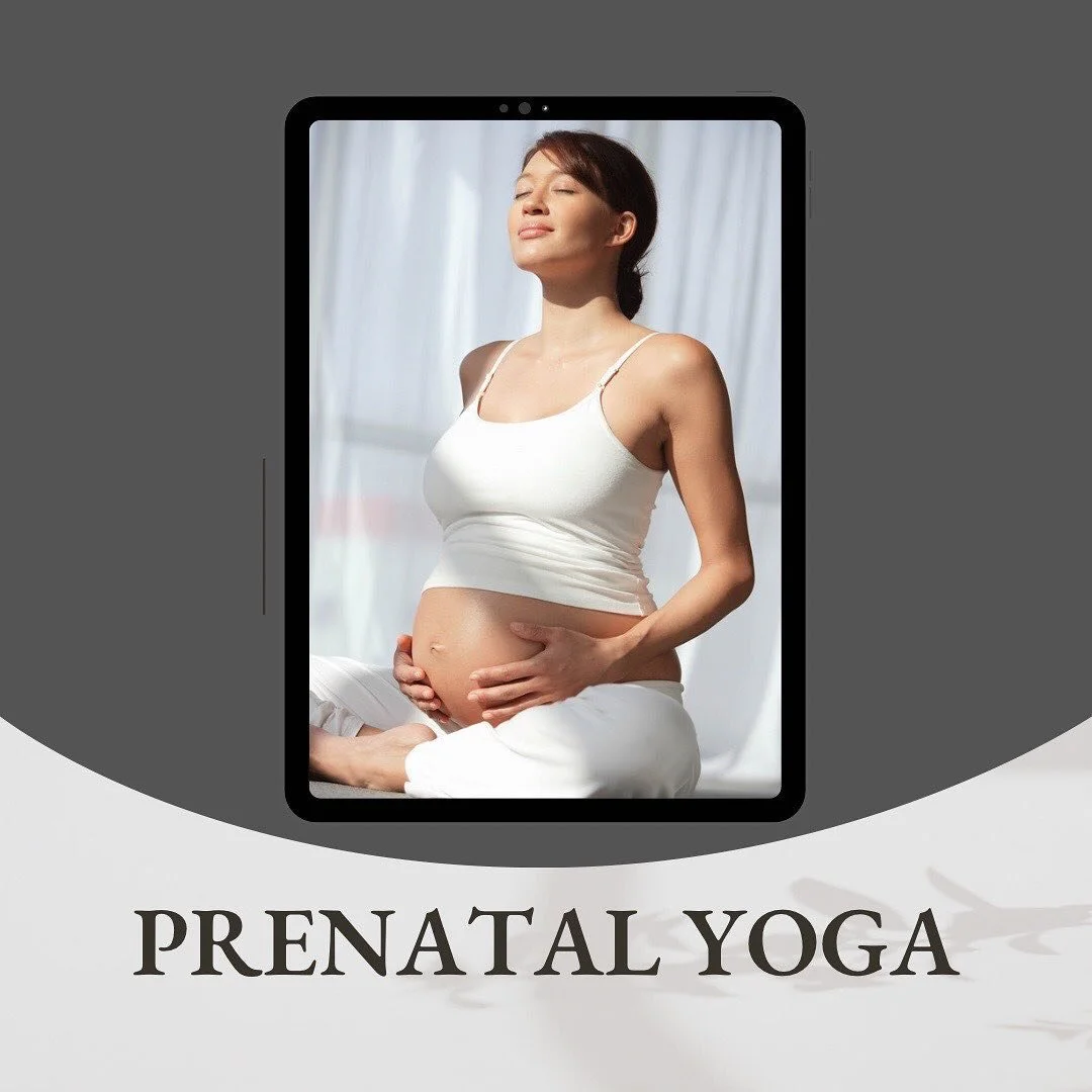 Learn how prenatal yoga can balance your nervous system, create space for baby to position properly, and help your body prepare for birth.

Book a Session 👆 Link in bio

#mapnutritionandwellness #prenatalyoga #mapyourpathtowellness