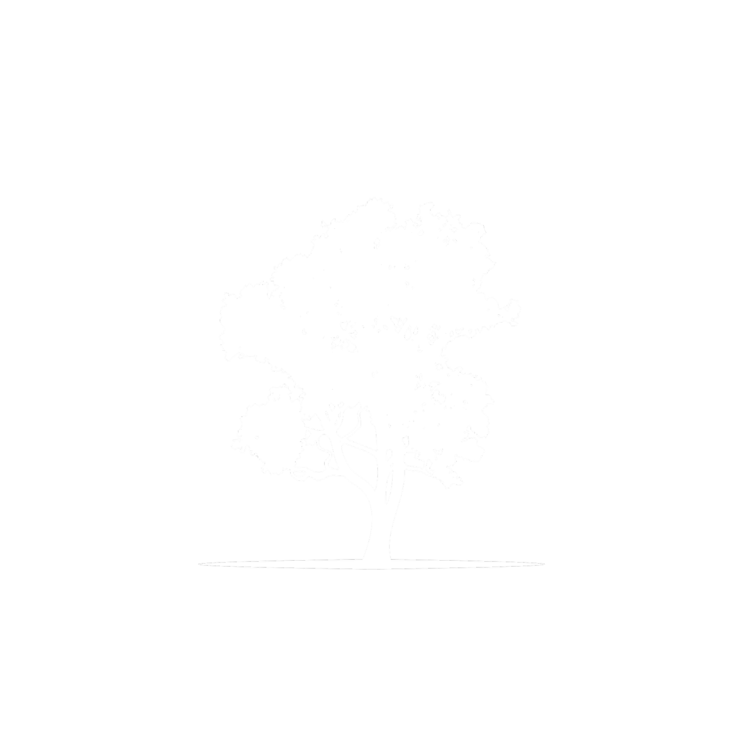 Black Gum Landscapes