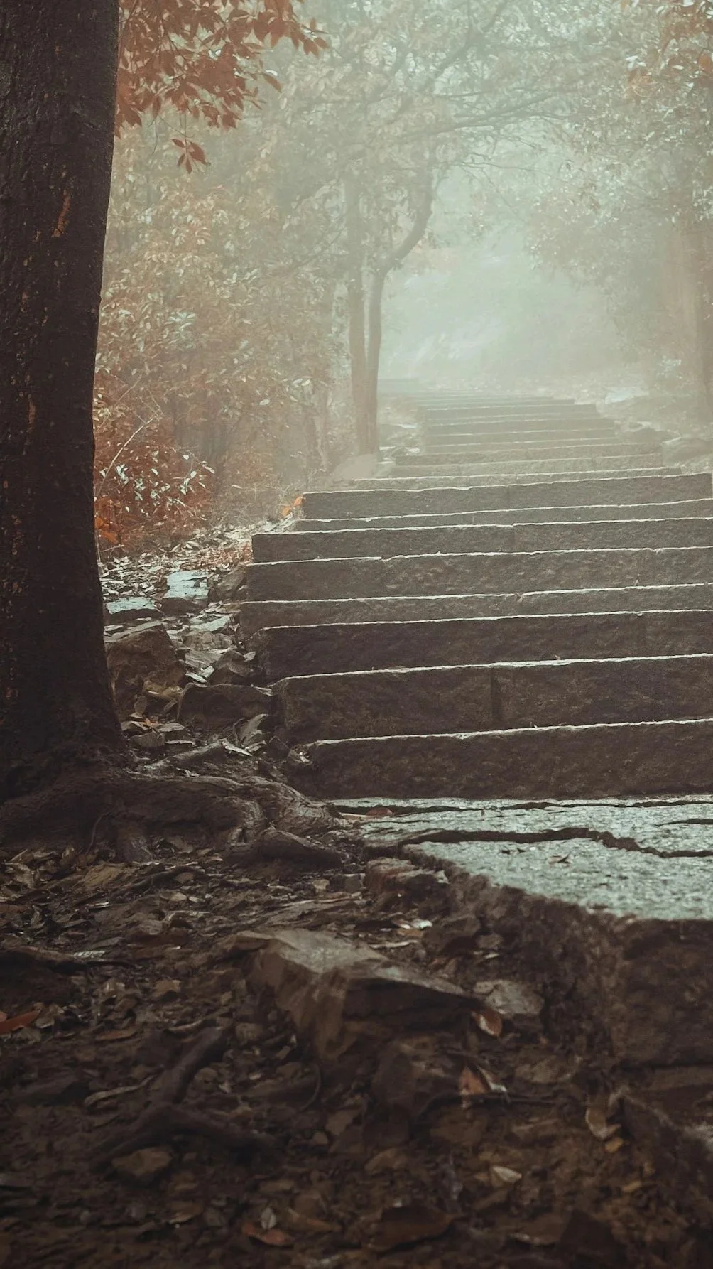 Stone staircase in an autumn forest going off into the mist