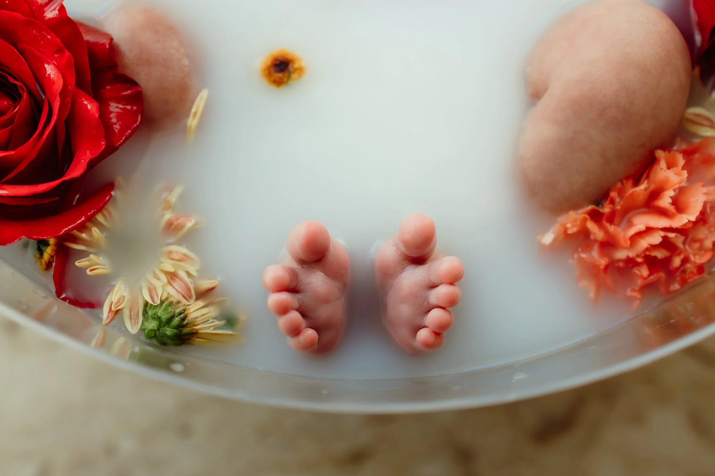newborn photographer milk bath and flowers baby el paso tx