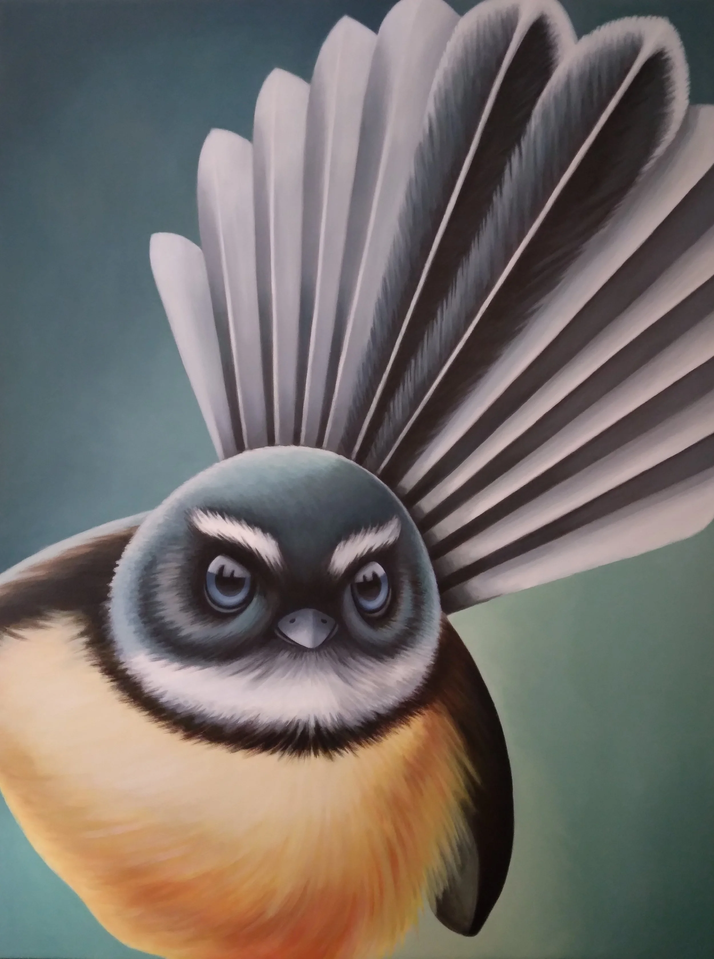 Fantail