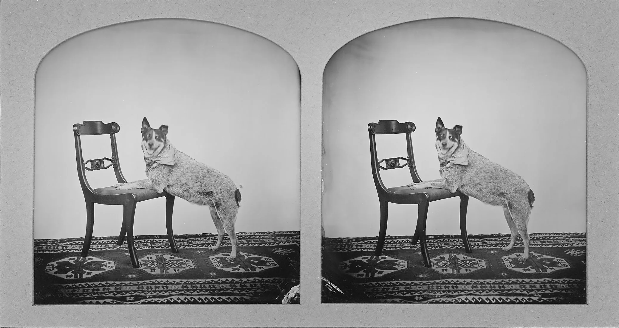 CAS_Corinne AlexandraStereo 3.jpg