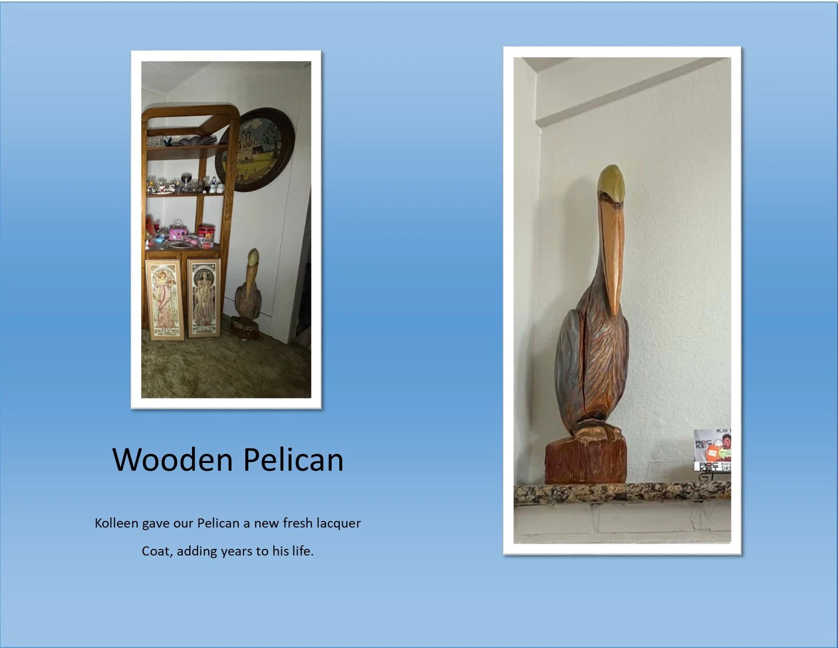 pelican.jpg