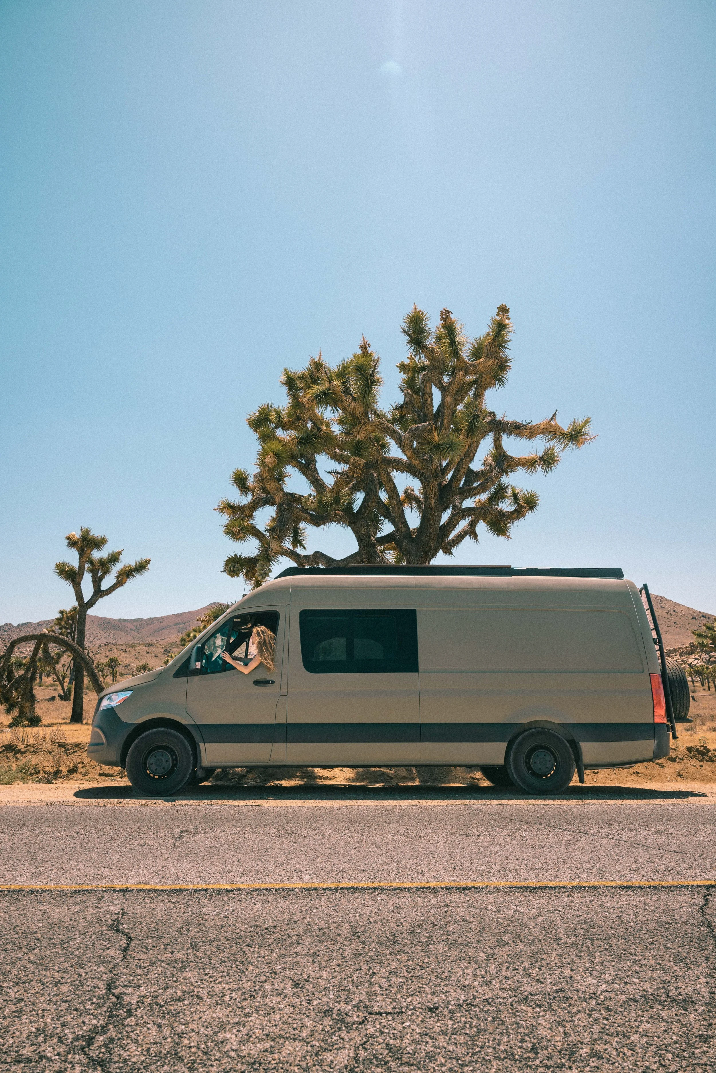 Ananda Joshua Tree-3980.jpg