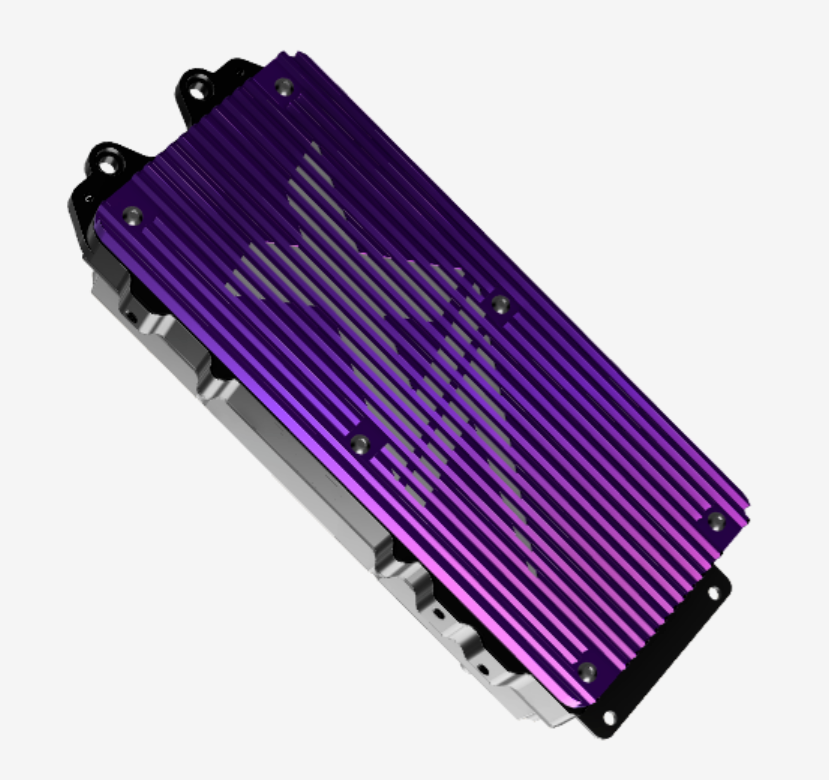 purp.png