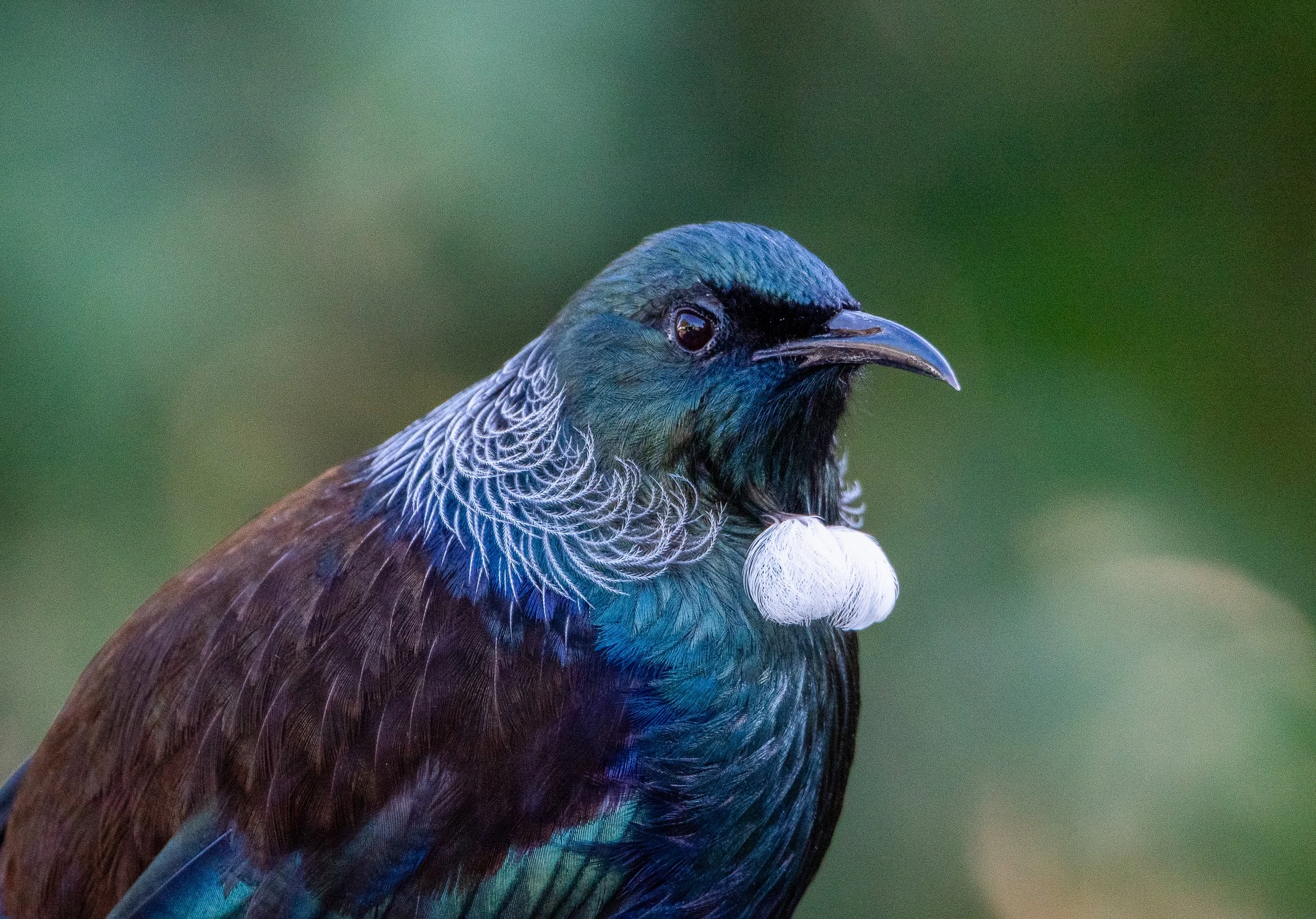 DSC_5538.jpg