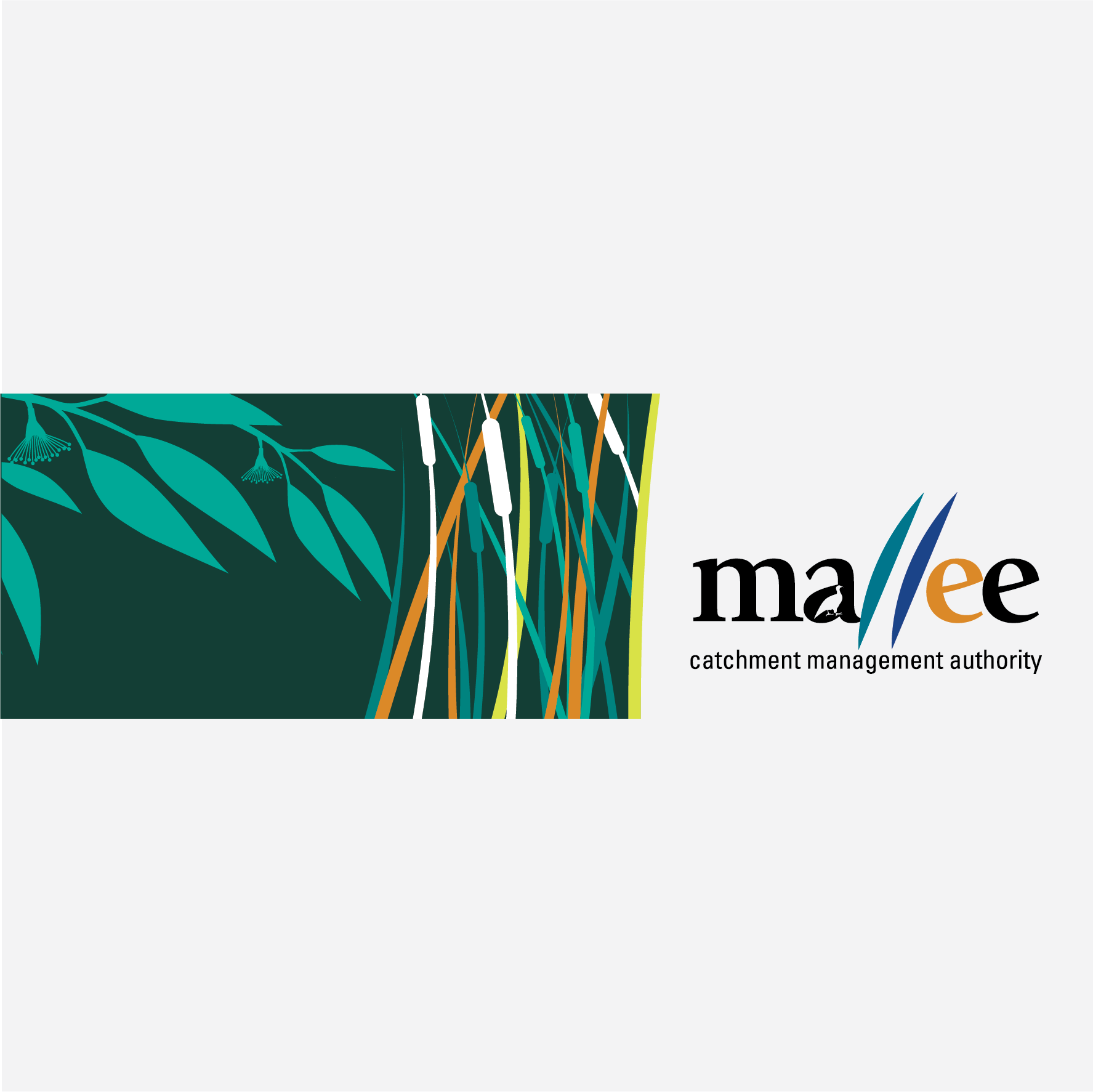 CMA Branding & Logo.png