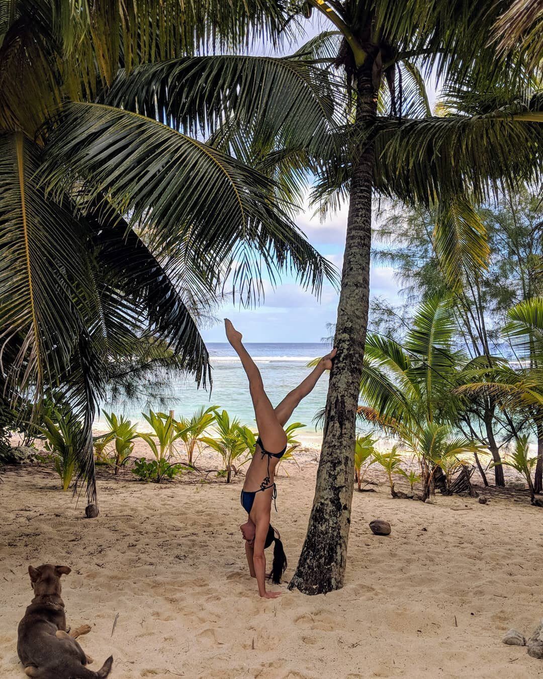 Surviving Sydney winter. A weekend of connecting and disconnecting. Filling my cup to the brim. Adventure days, belly laughs and balmy nights 🌴 Back in Sydney soon! #escapewinter #familyholidays #handstandinparadise