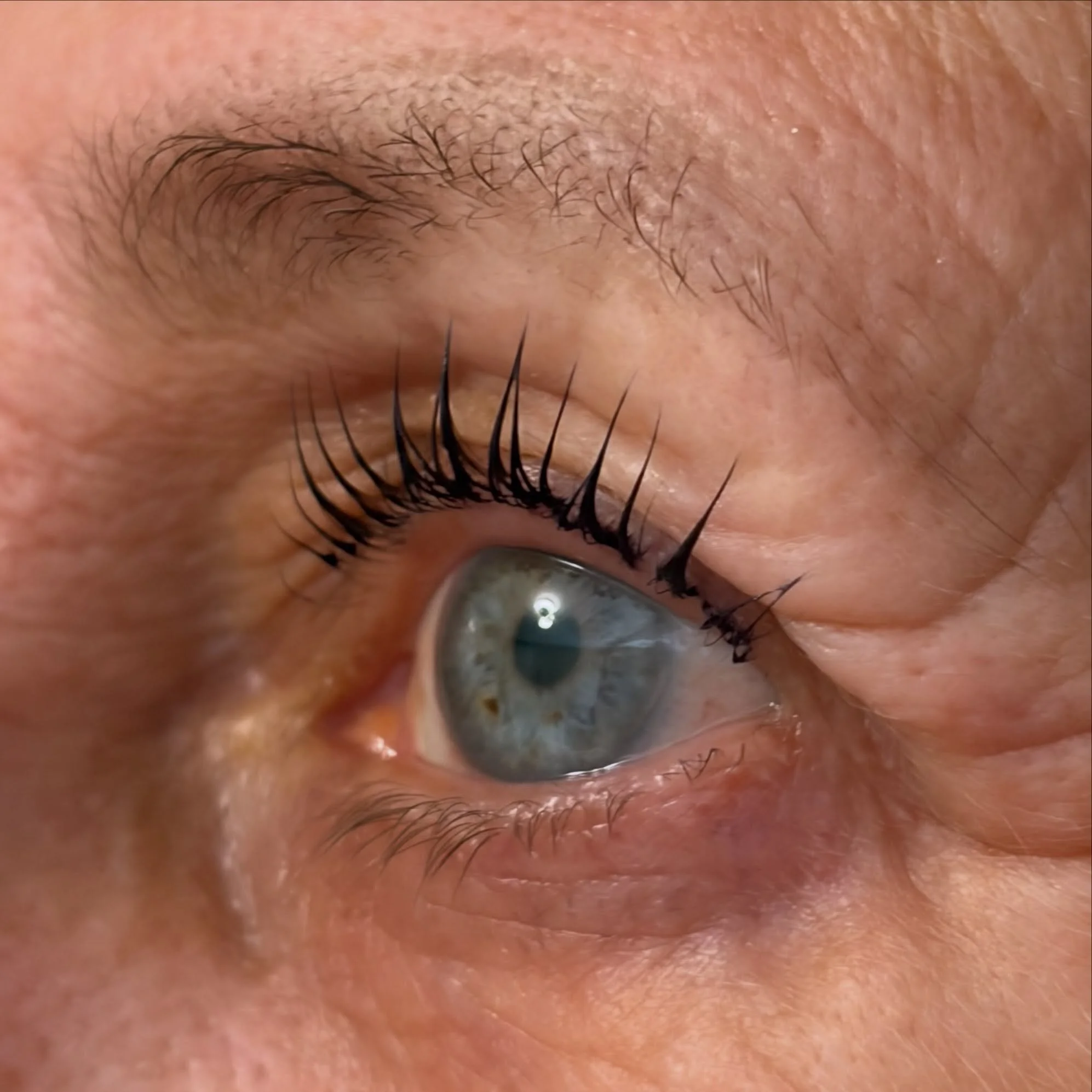 Amazing results from my clients lash lift today. #lvl #nouveaulvl #lashlift #hertfordshirebeauty @ateliersalon19