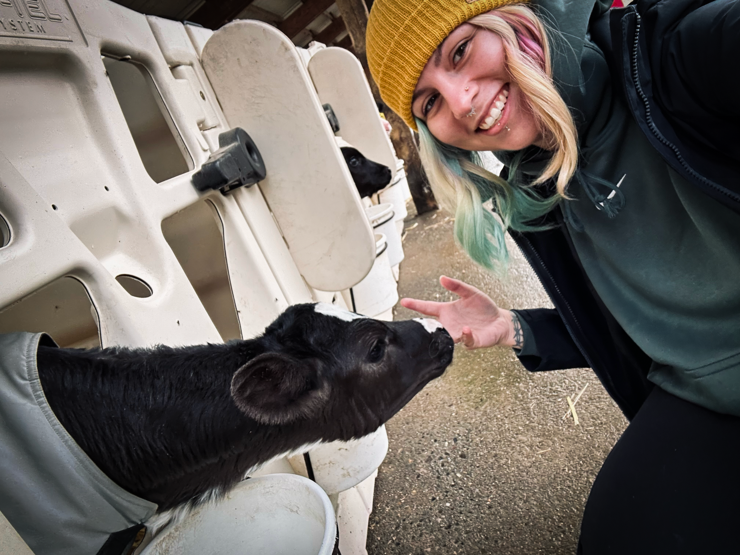 Commissioner Emily Clouse with a calf