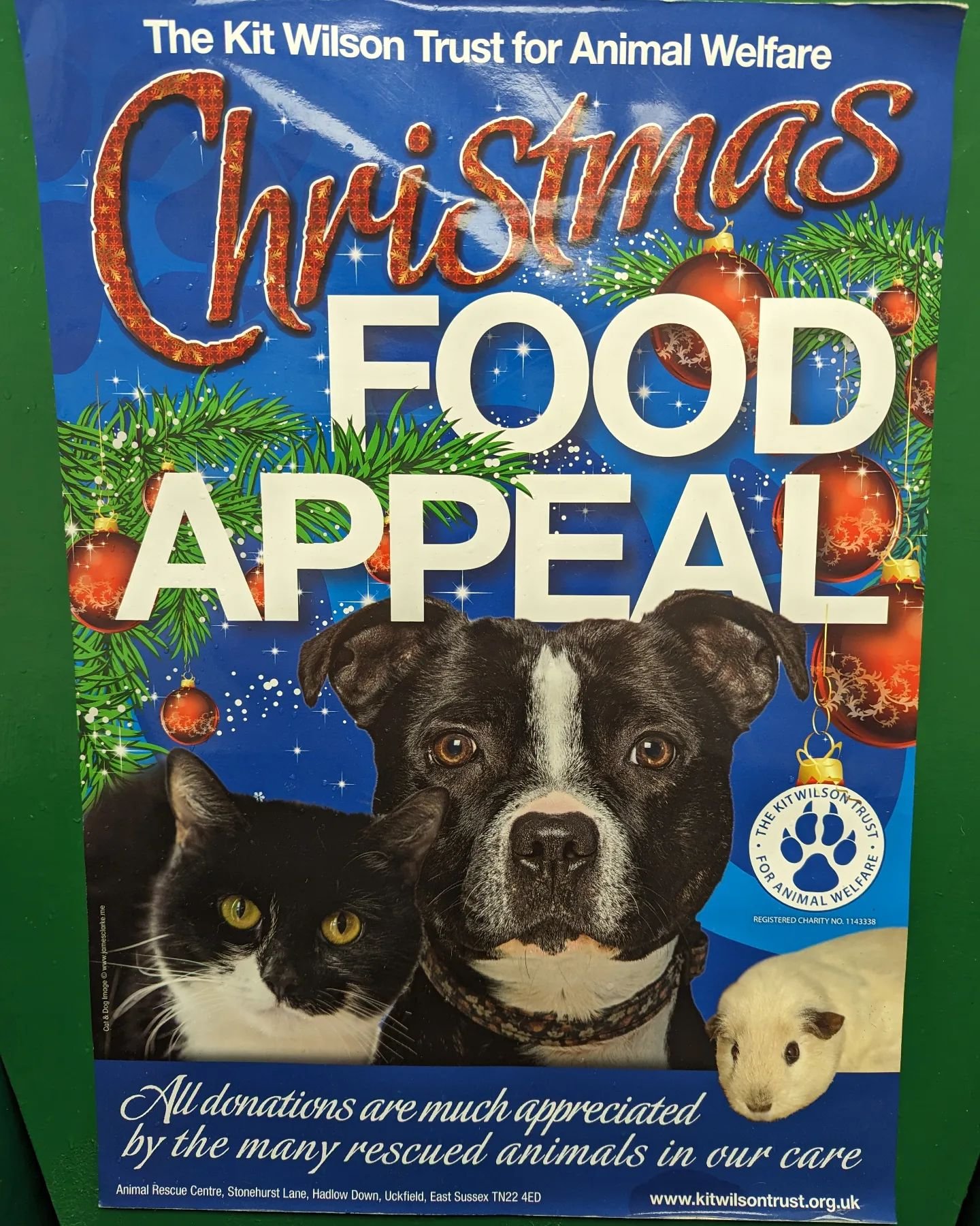 We have now received this year's Christmas food appeal box for Kit Wilson Trust for Animal Welfare. 
As you know, Hotdogs is a huge supporter of this local charity. Any food donations (even just one tin of dog food or a small packet of treats) would 