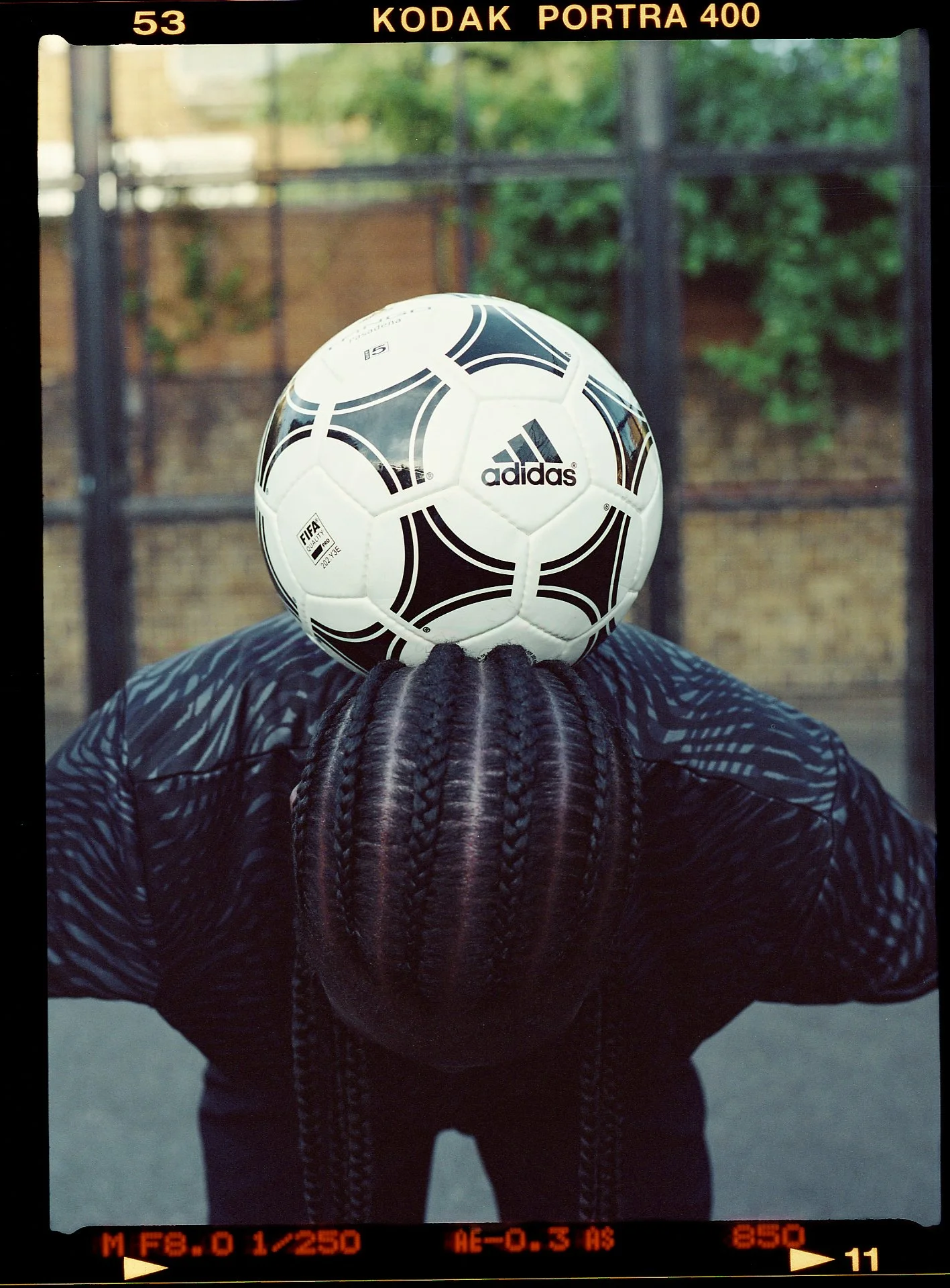 Adidas | Hardwire 2019