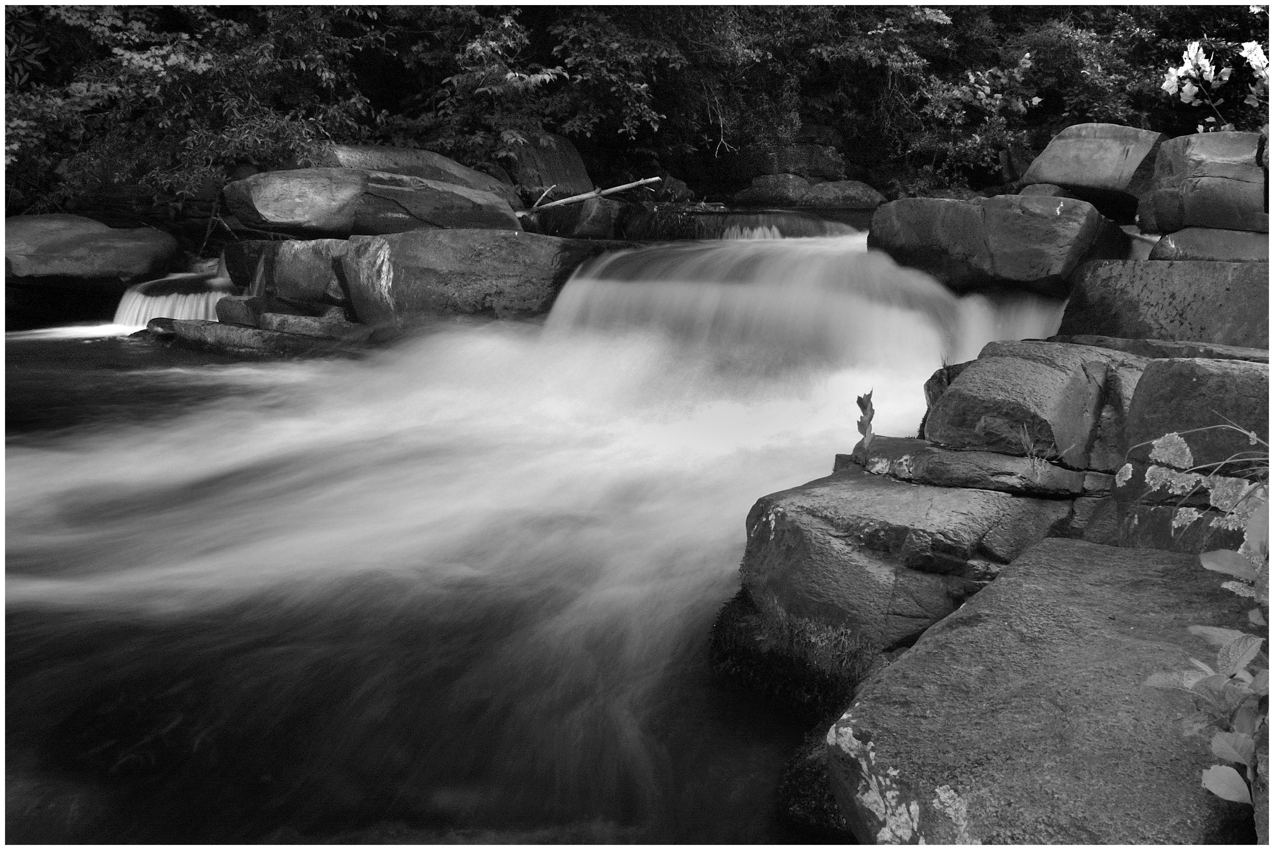 tallfall4.jpg