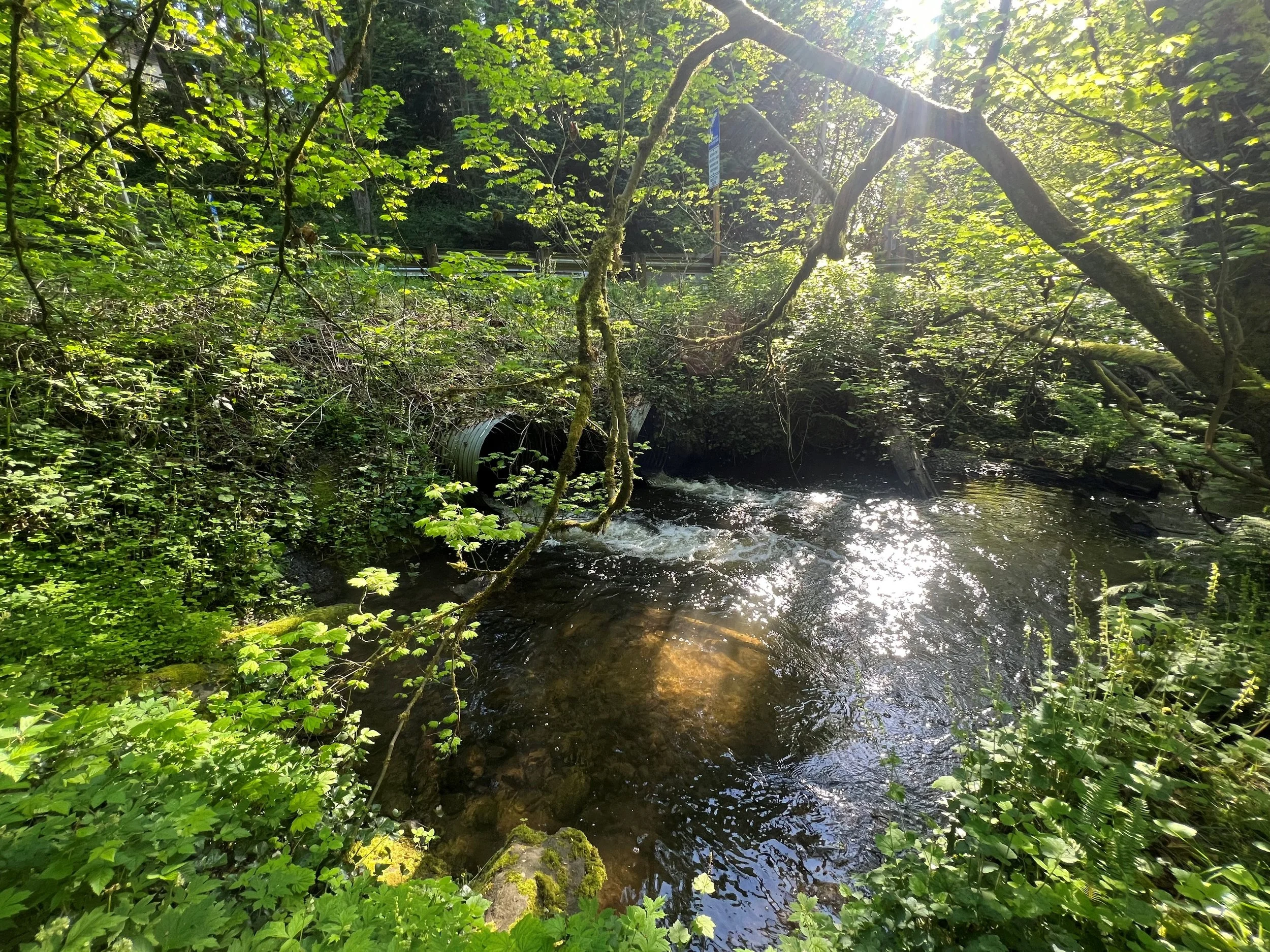 Landslide Hazard Assessment for Community Reforestation and Habitat Improvement  Project