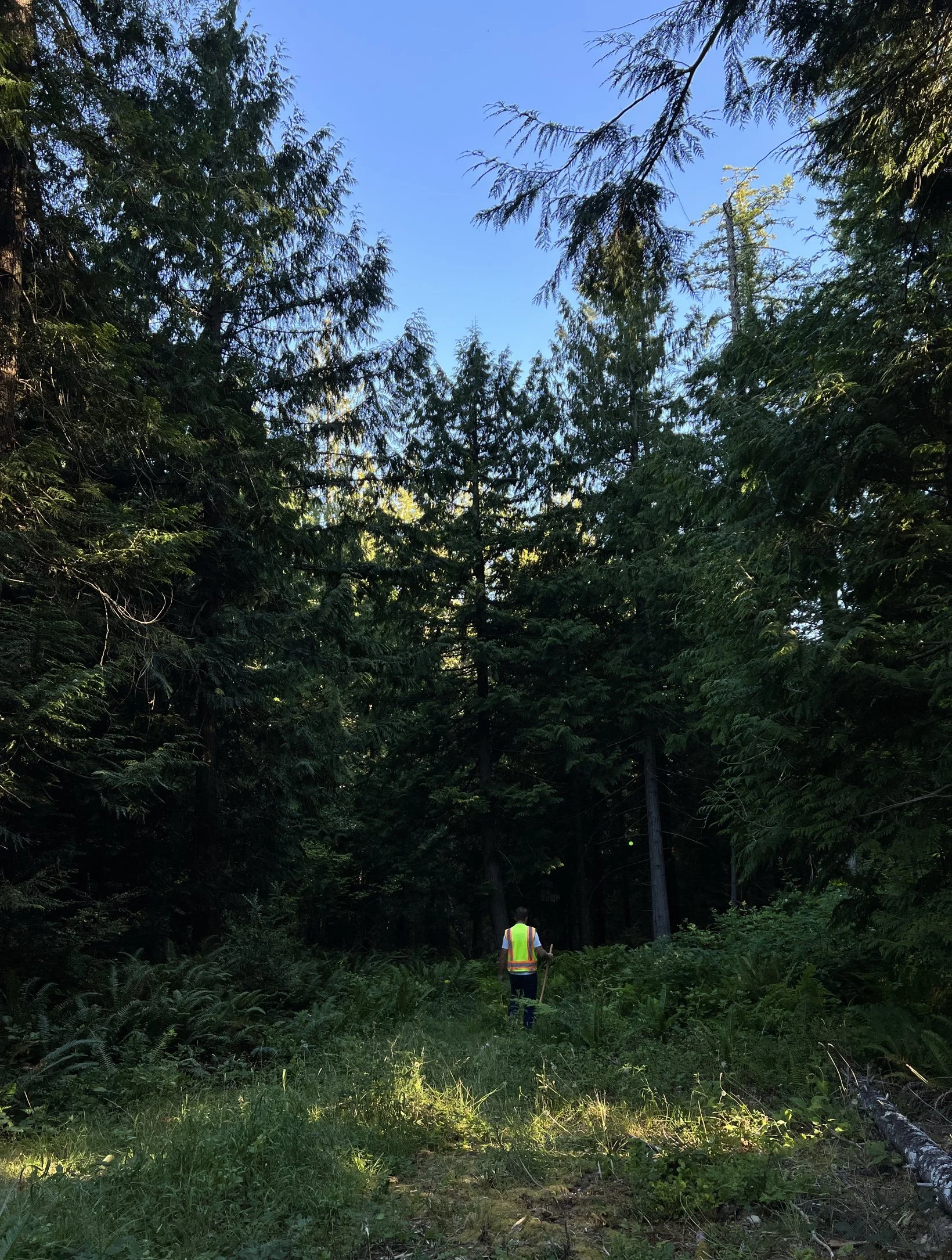 Development Feasibility & Landslide Hazard Assessment