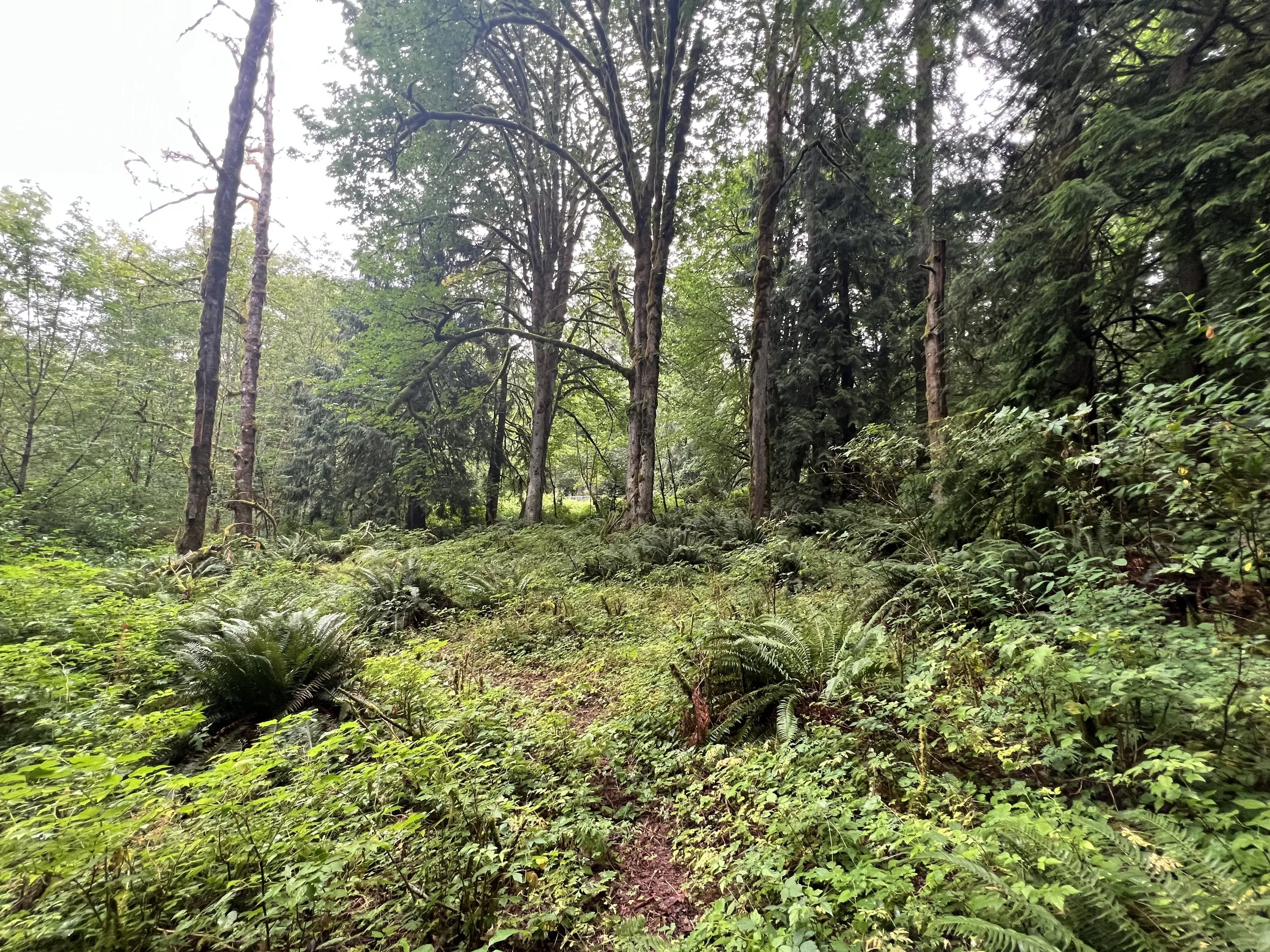 Steep Slope Setback Exemption