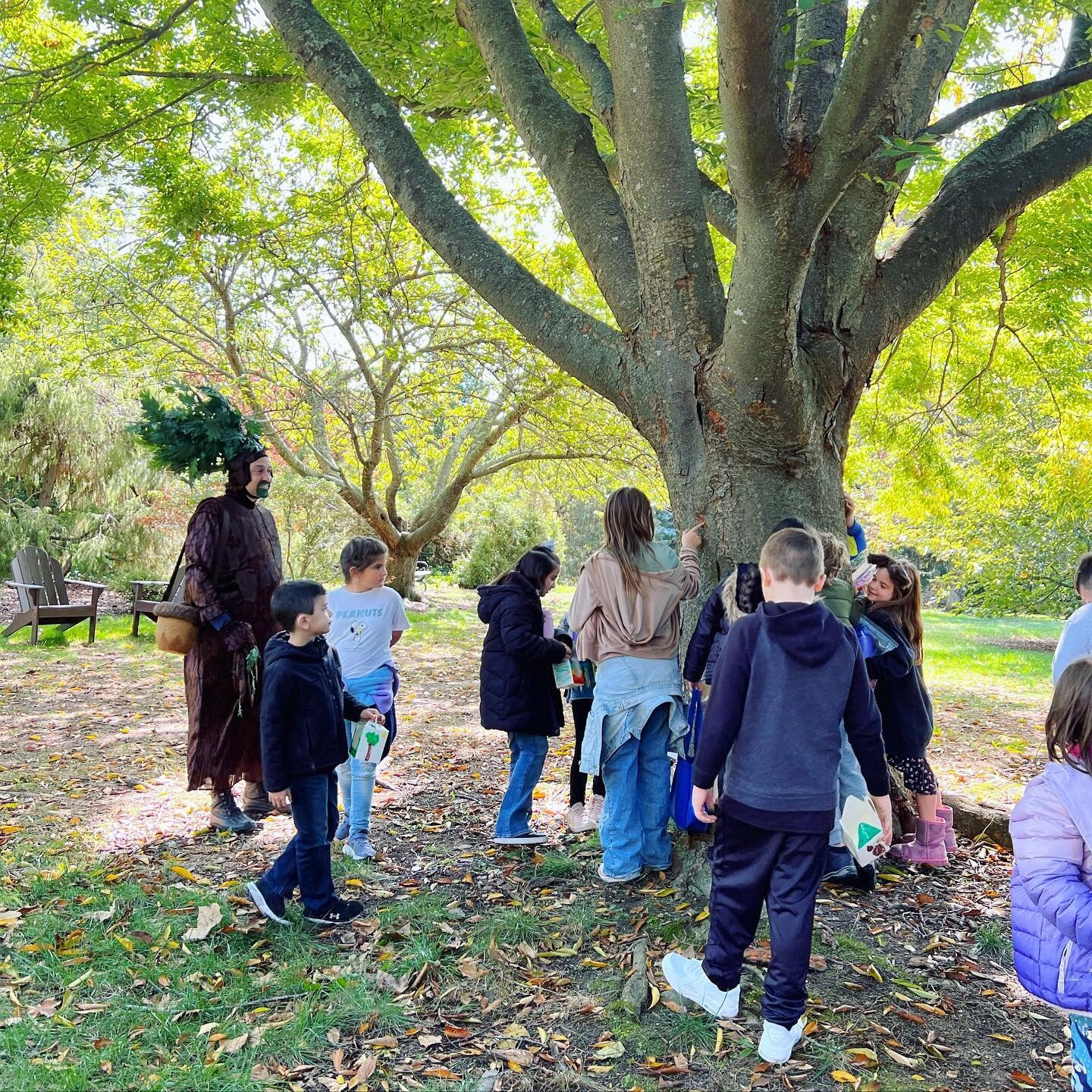 Happy Arbor Day from @thenyctree! Love and care for all the trees in your life and plant one whenever you can! We need more of us 🌲🌳🎋🌴

#arborday #happyarborday #arborday2023 #treesarelife #treehuggers #trees