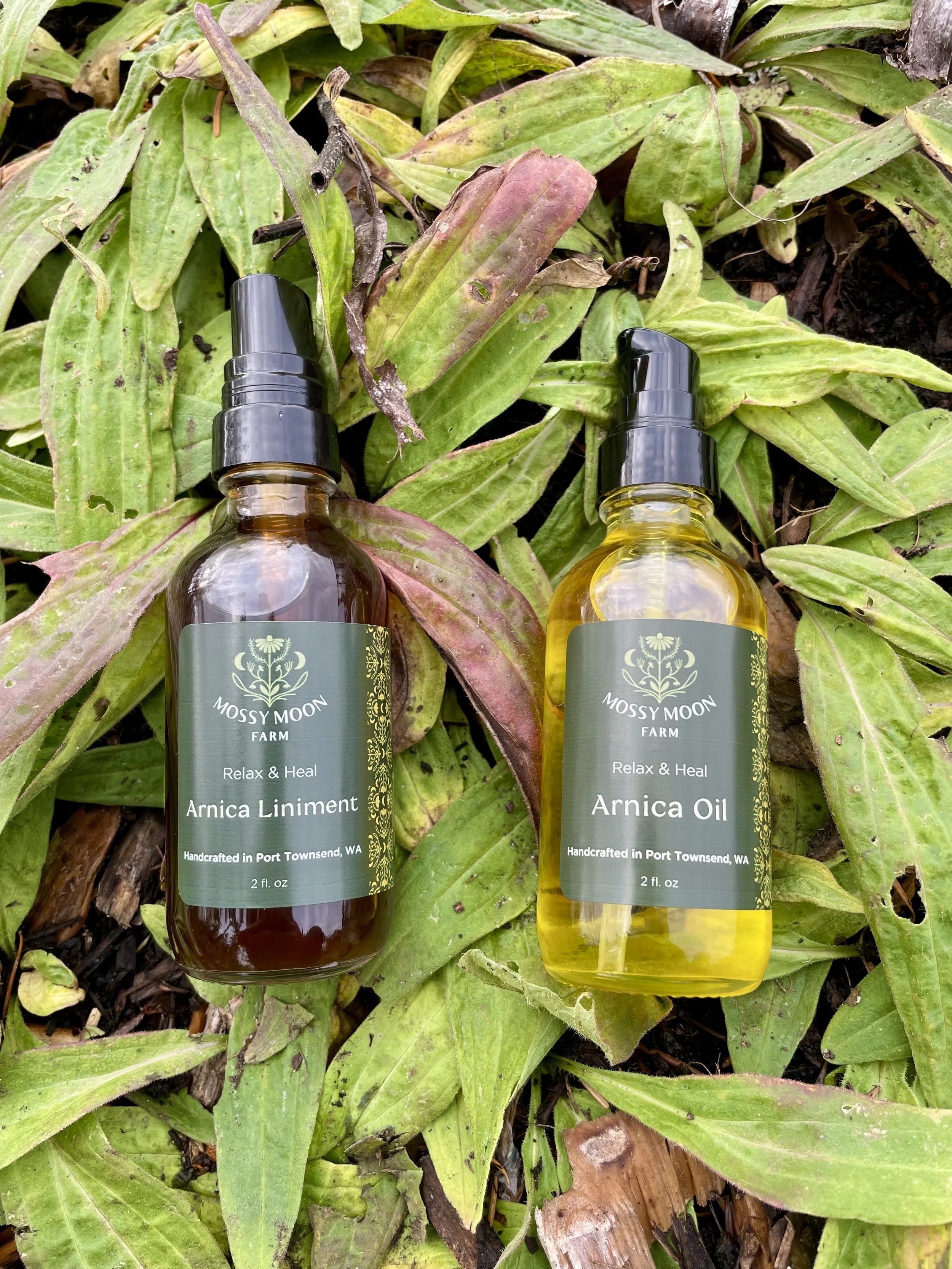 Arnica Duo