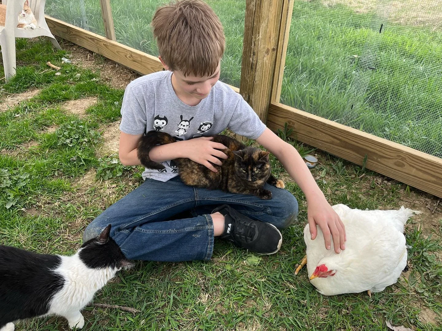A young visitor sitting on the grass with a cat while a chicken and another cat explore nearby at Ahimsa Safe Haven