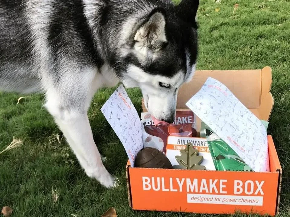 Bullymake ‣ Social Guide