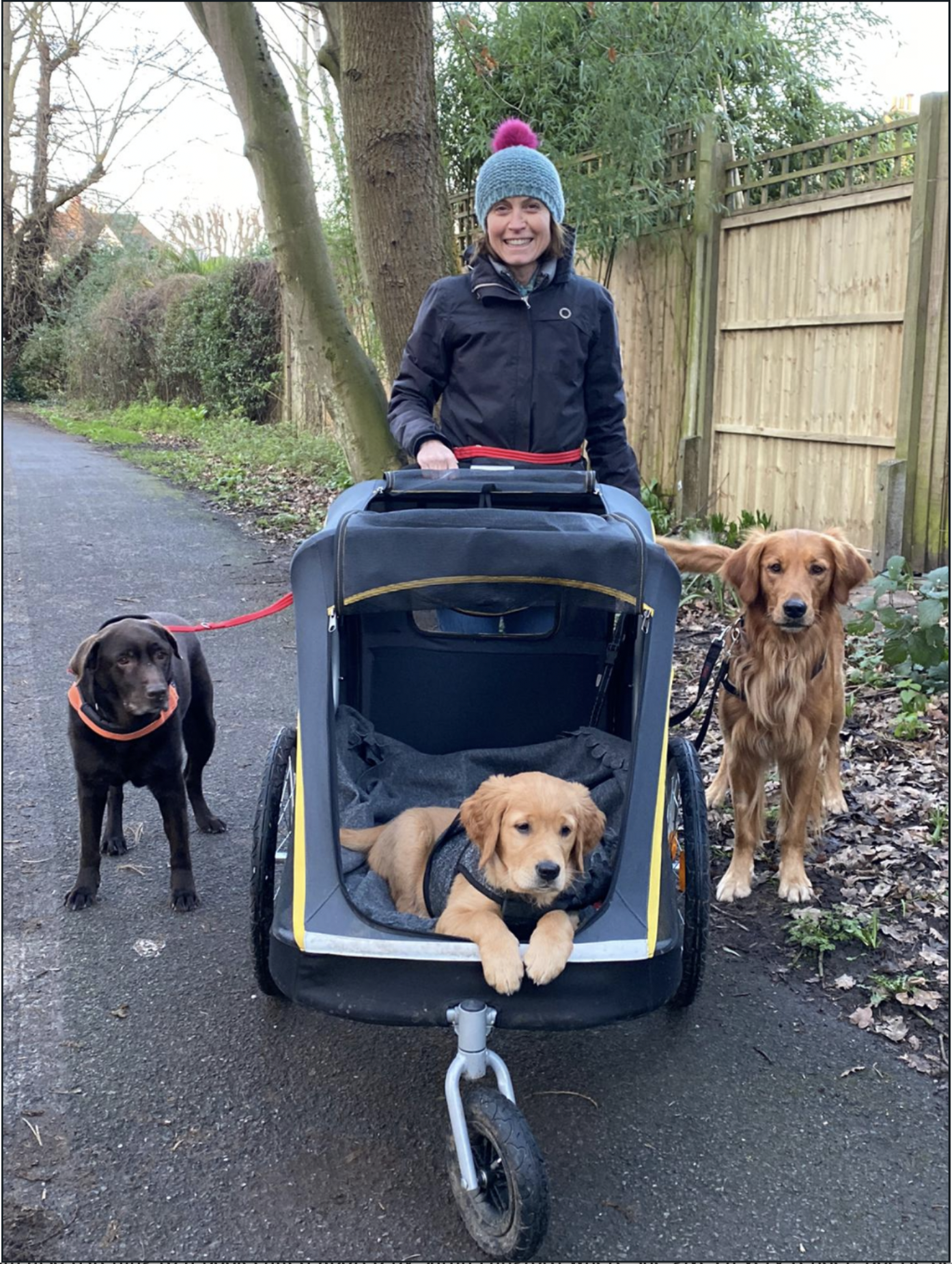 All together for a walk
