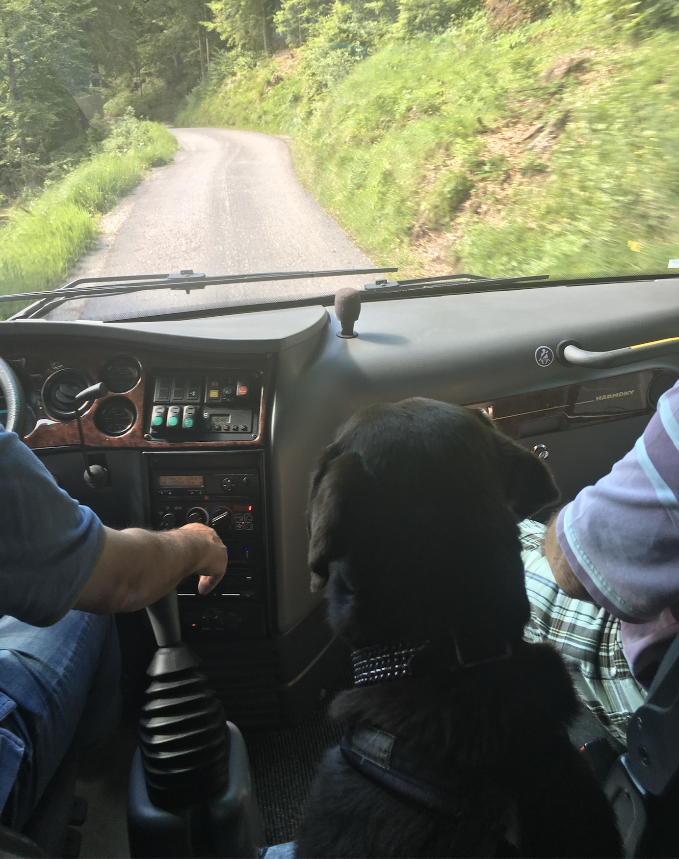 Chilli giving directions to the bus conductors in the Dolomites