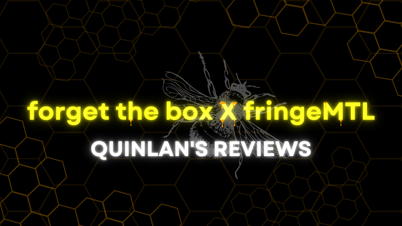 Quinlan’s Reviews