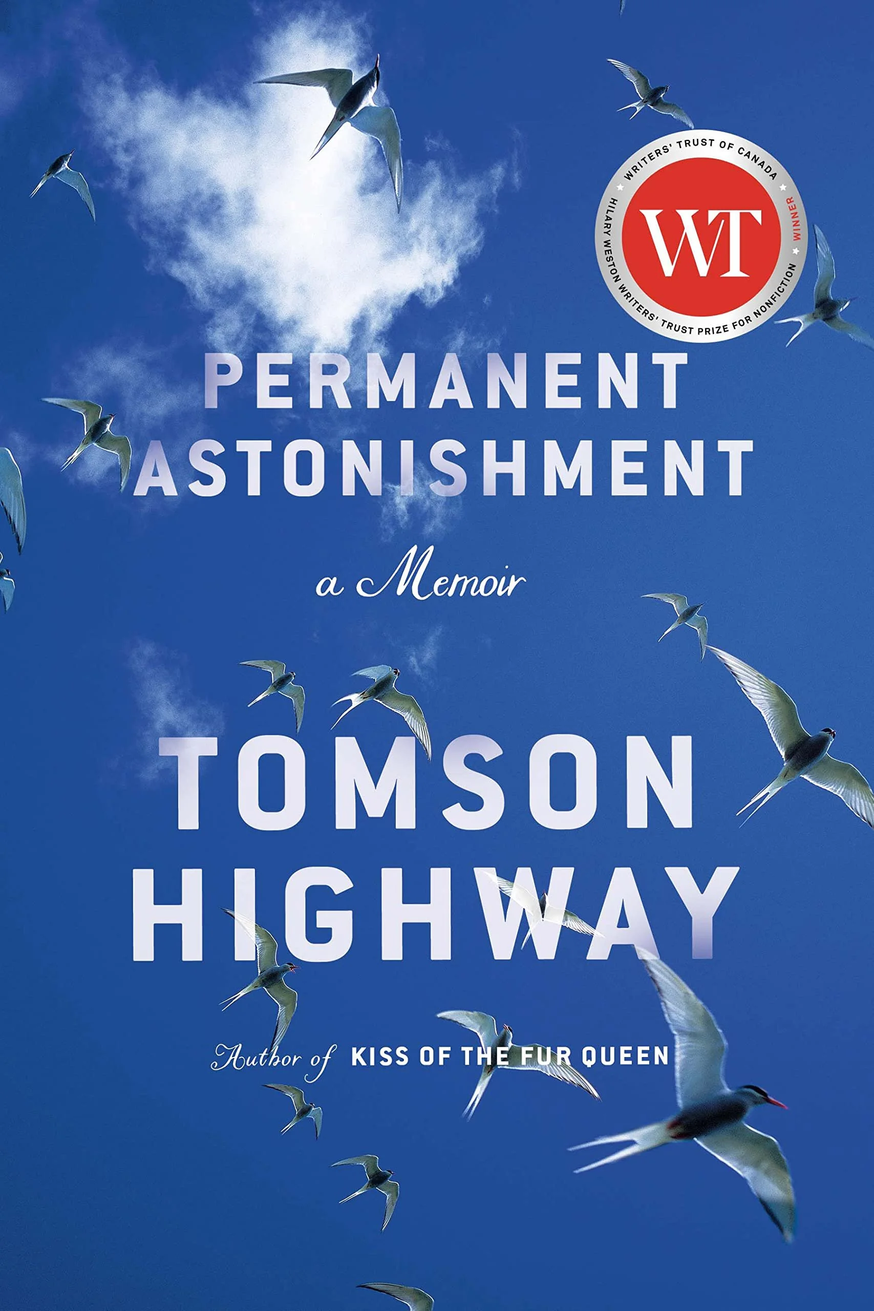 Permanent Astonishment.jpg